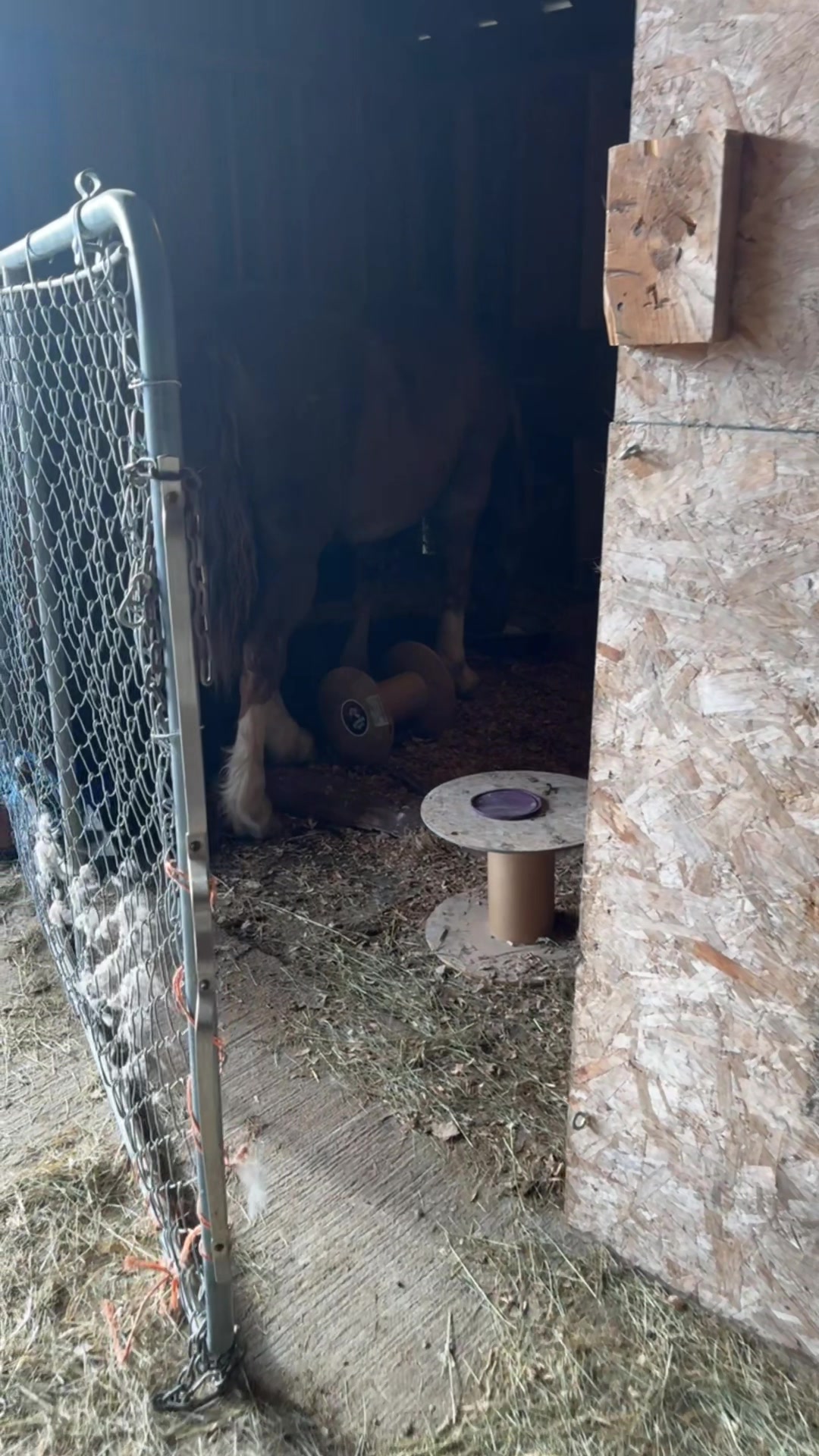 @Homebound Farm & Rescue