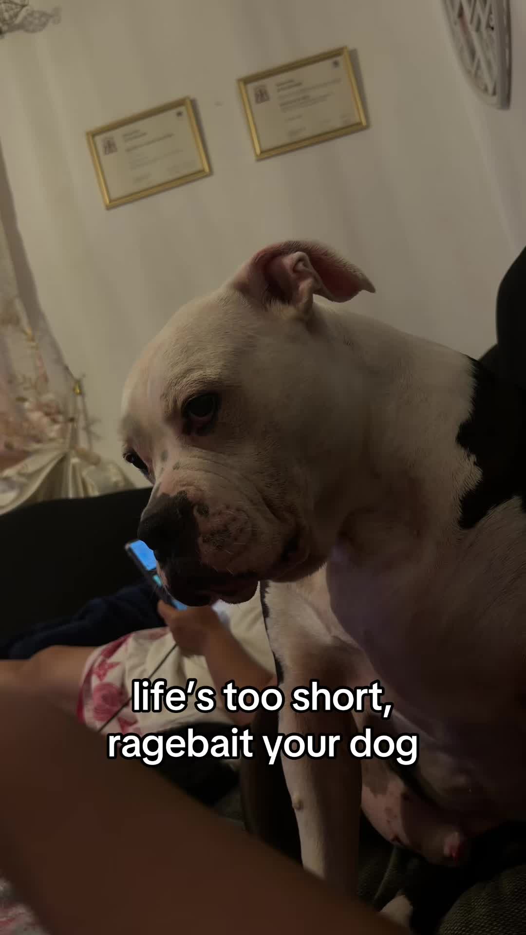 @J