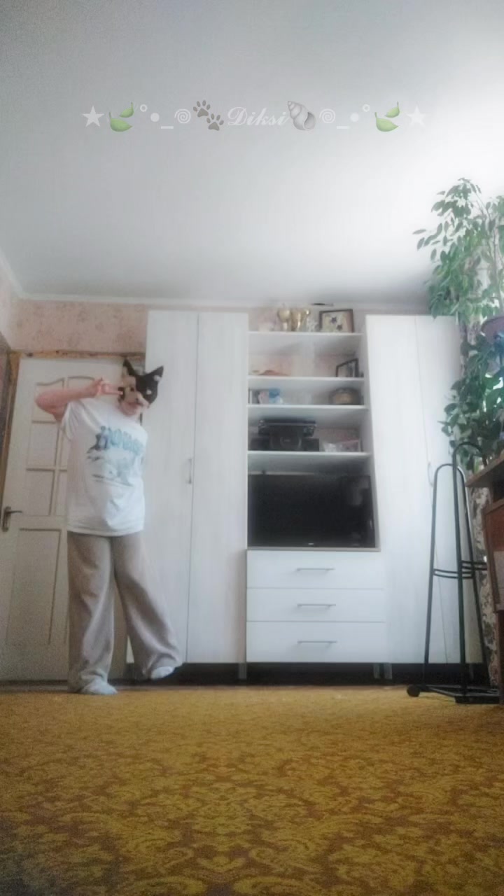 @★🍃°•_𖦹🐾𝓓𝓲𝓴𝓼𝓲🐚𖦹_•°🍃★