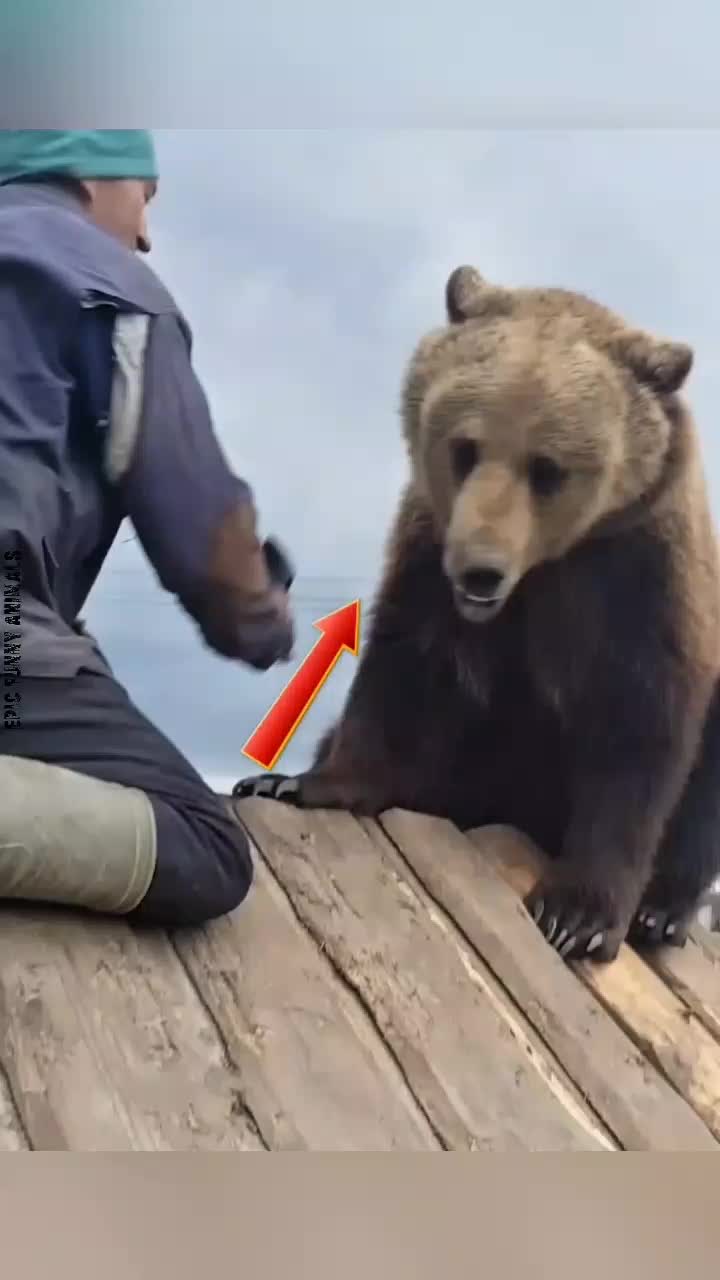 @Epic Funny Animals
