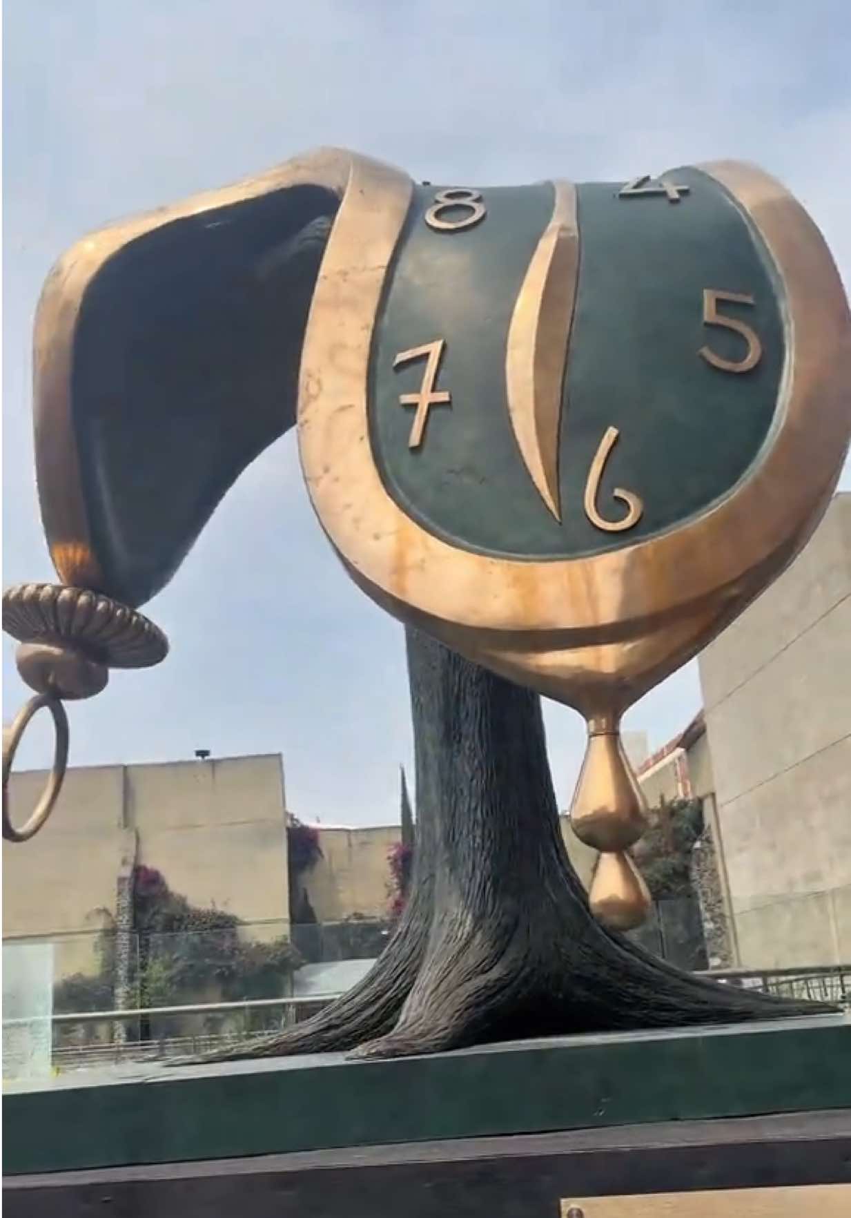 @J Cata Téllez