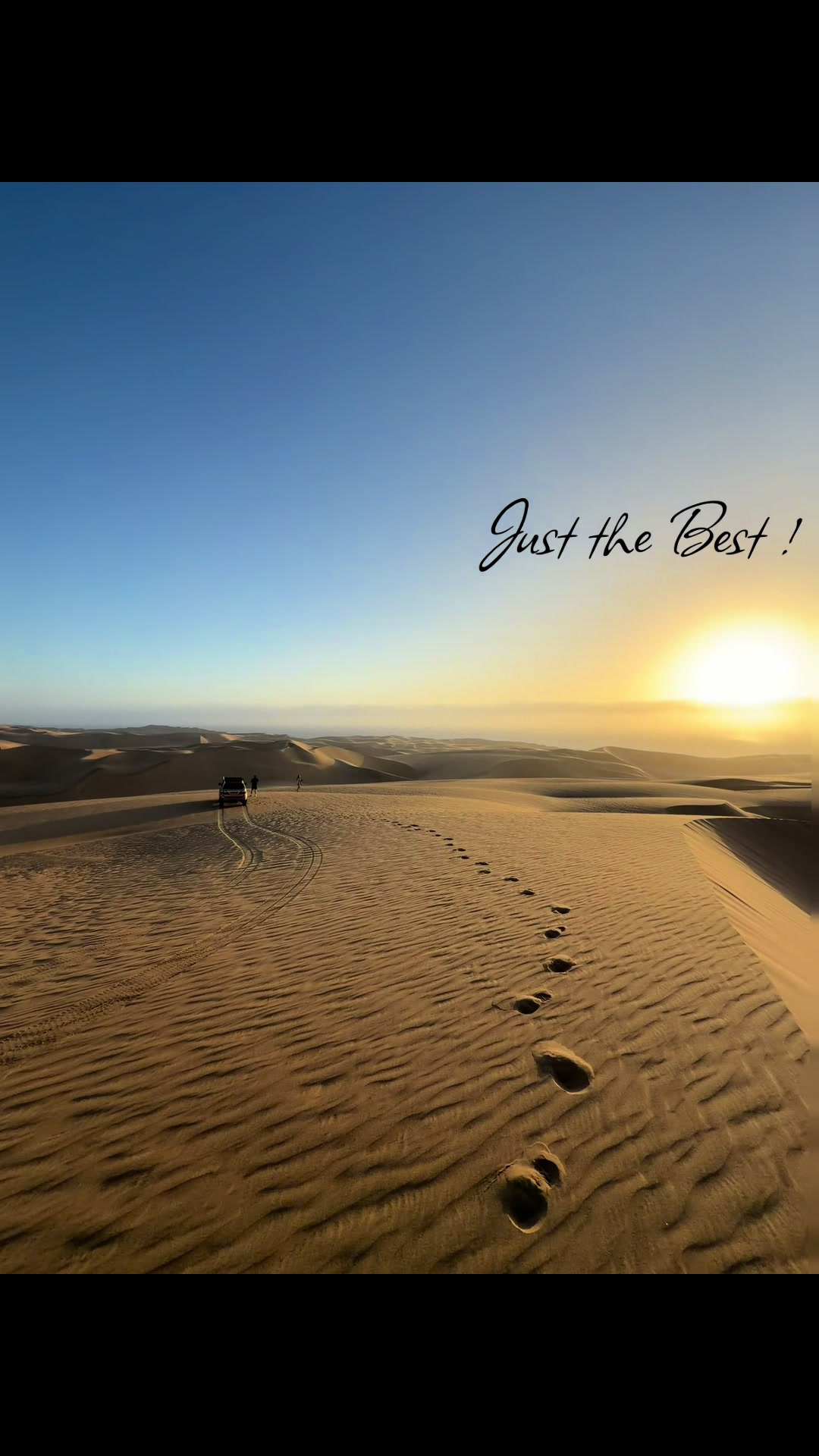 @DESERT COMPASS TOURS SAFARIS