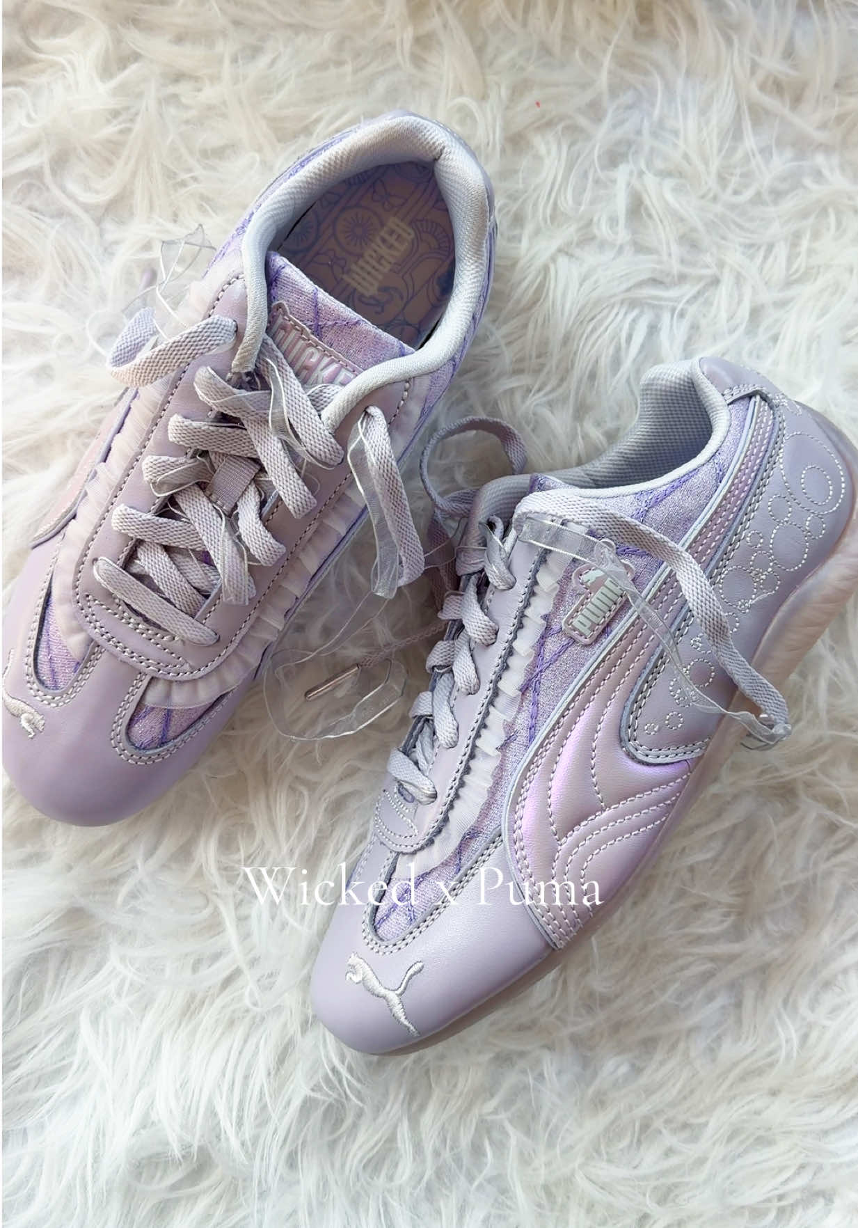 @Fly Kicks