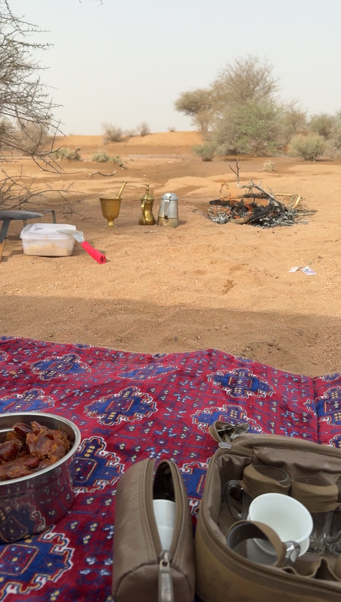 @ابوغيث 511