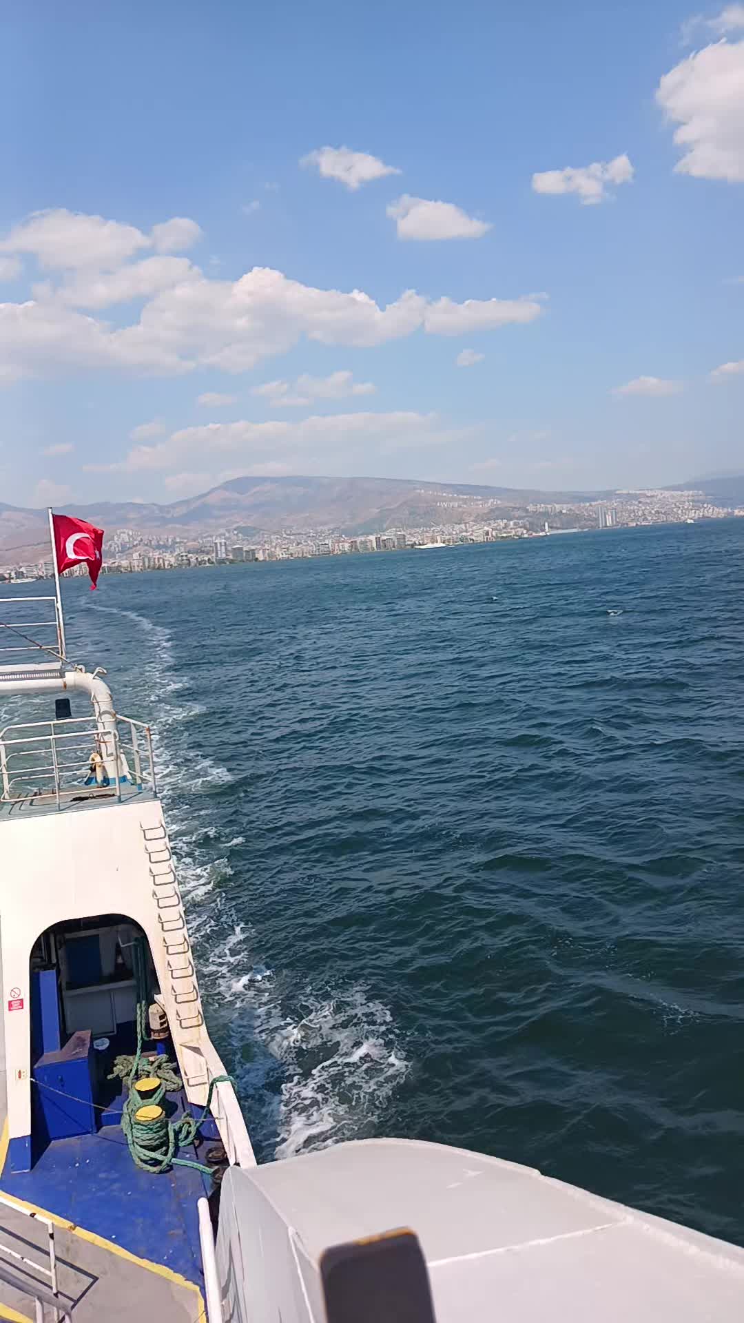 @mustafaelif