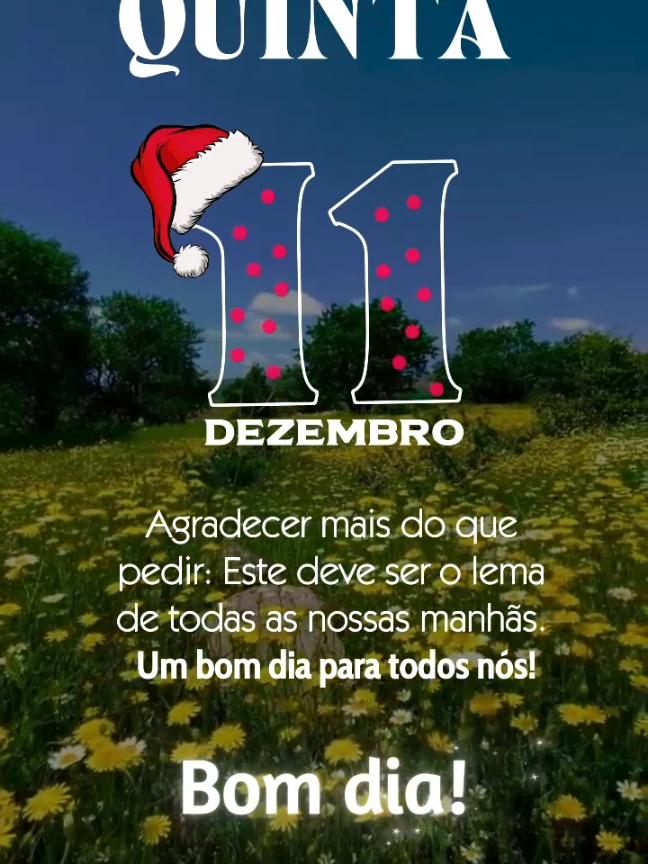 @J&uacute;nior Jardim