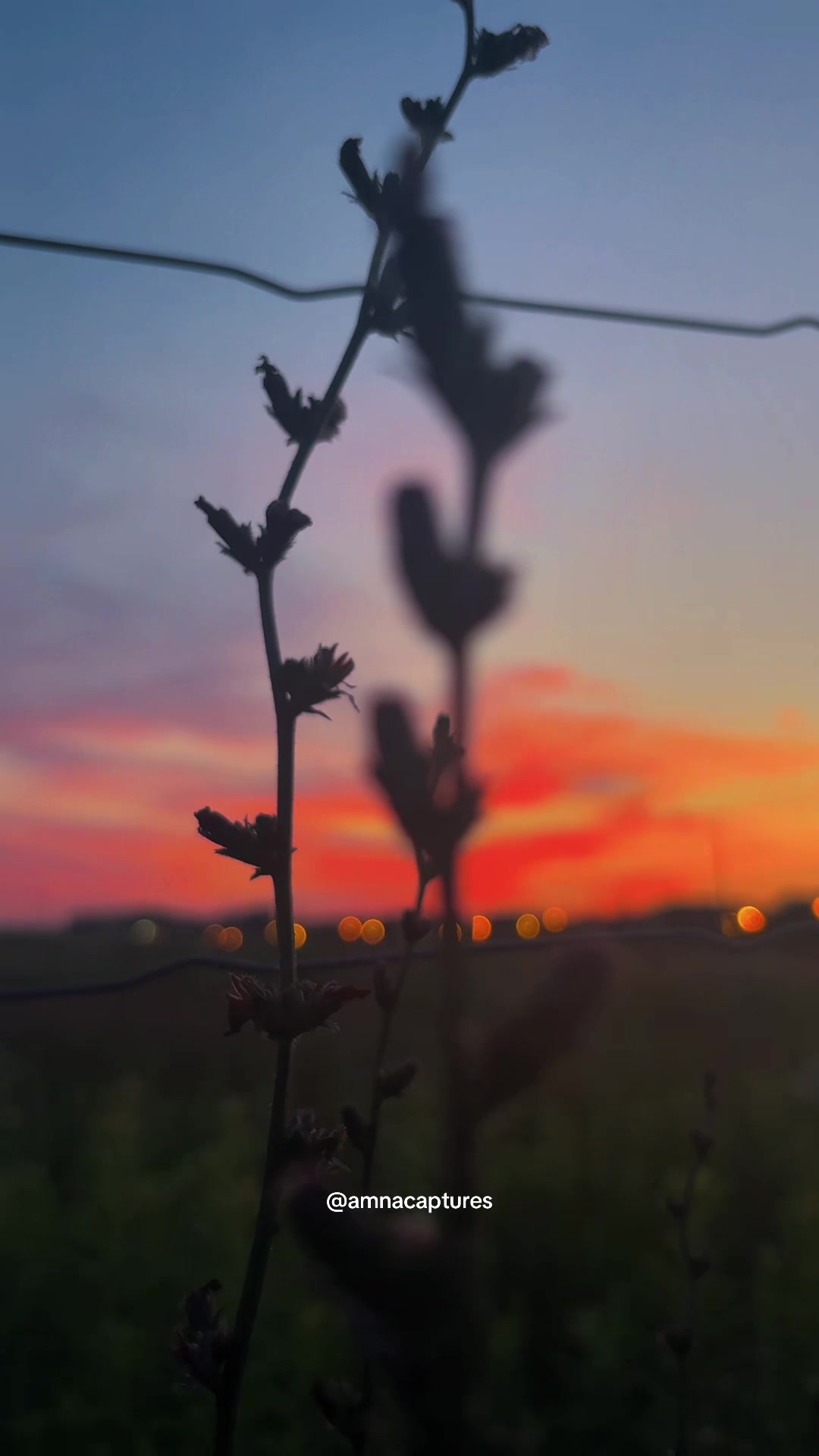 @Nature lover  🇨🇦