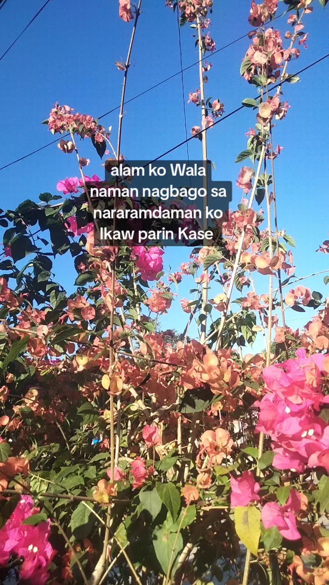@ilokanaako🏳️&zwj;🌈