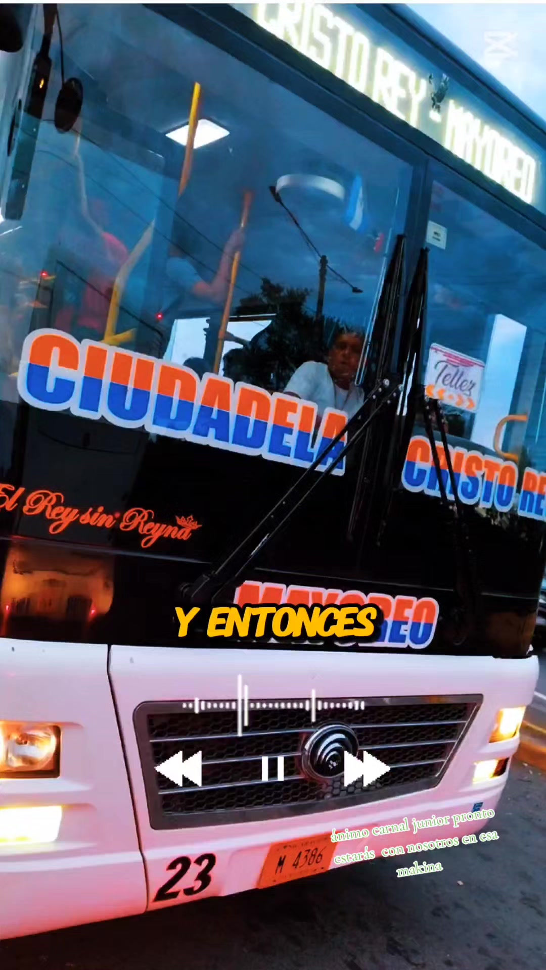 @el venado 505