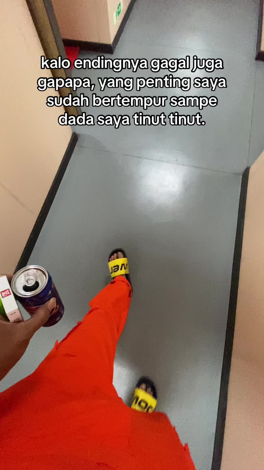 @🐬