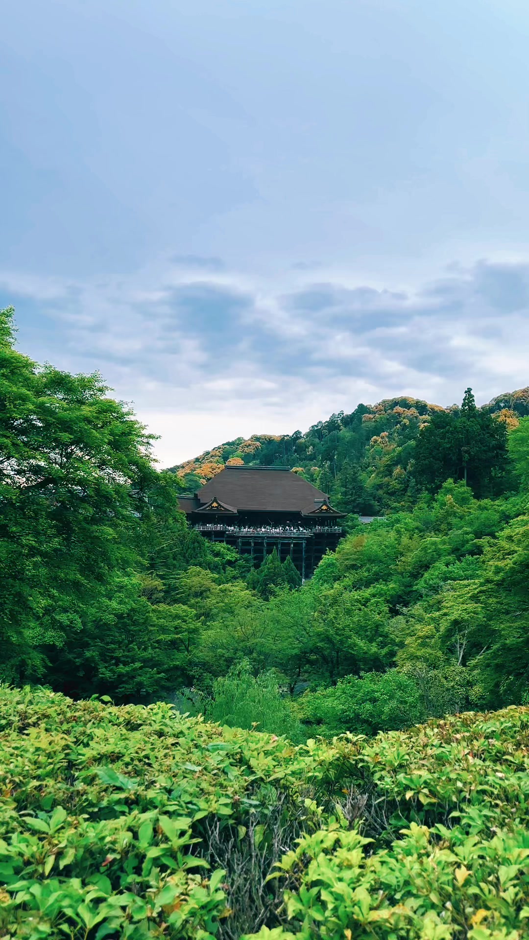 @ジェイピー🇯🇵🎌🇵🇭