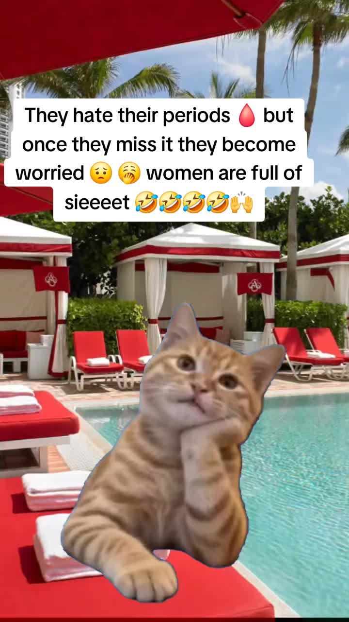 @Miss Vibez ๐ค๐๐