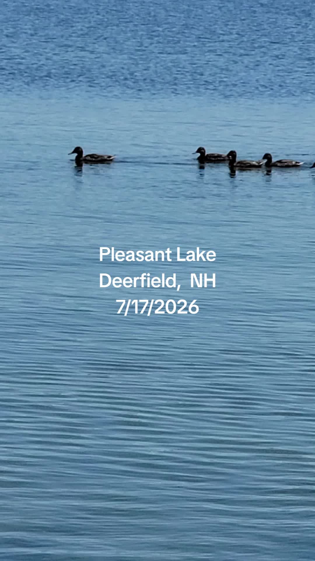 @drastically Reduced