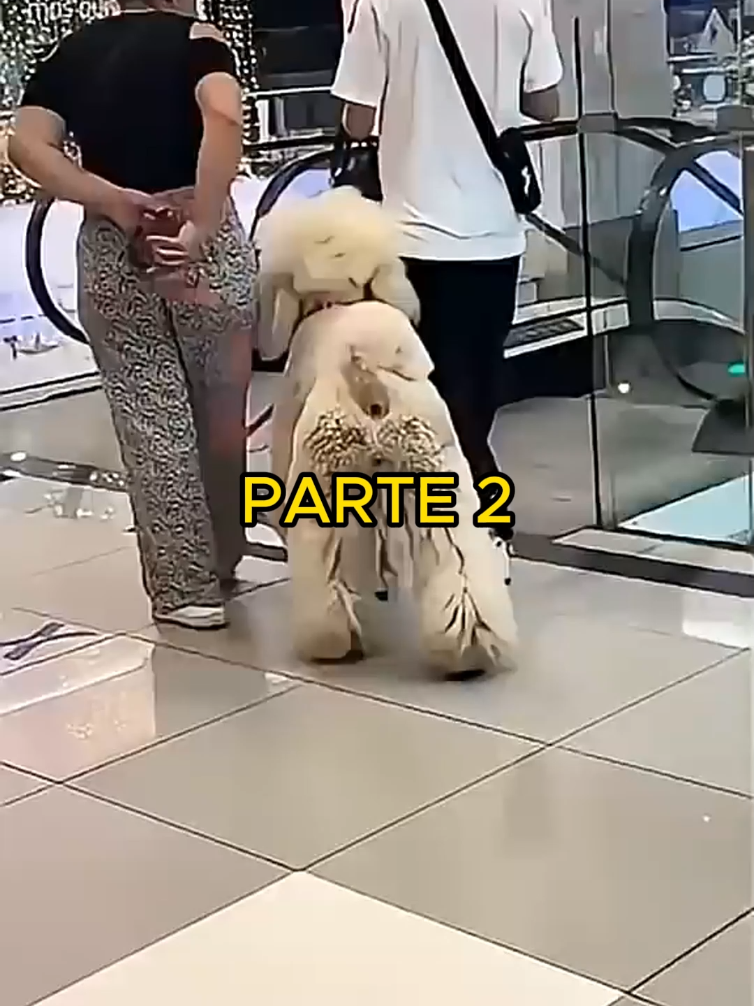 @Hist&oacute;rias Bizarras