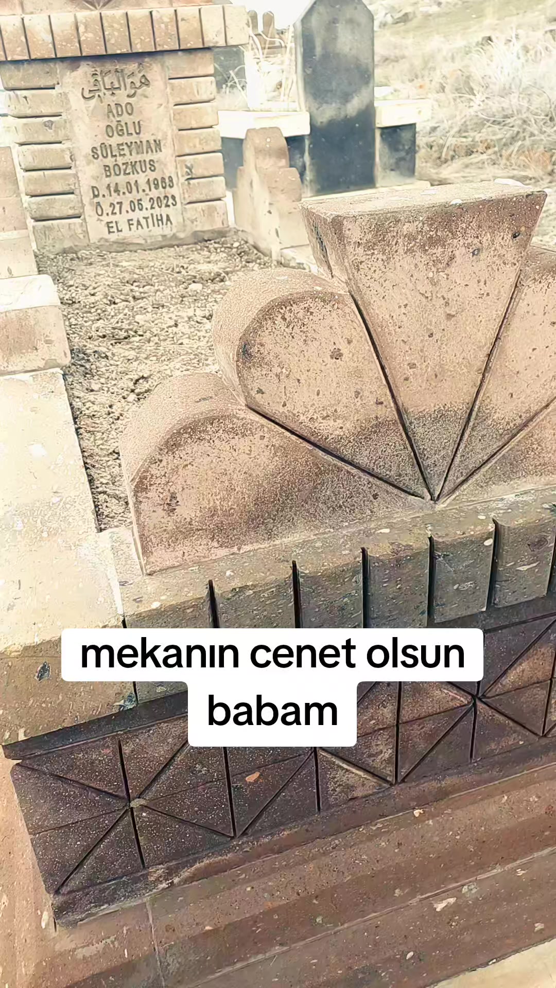 @dengi botan