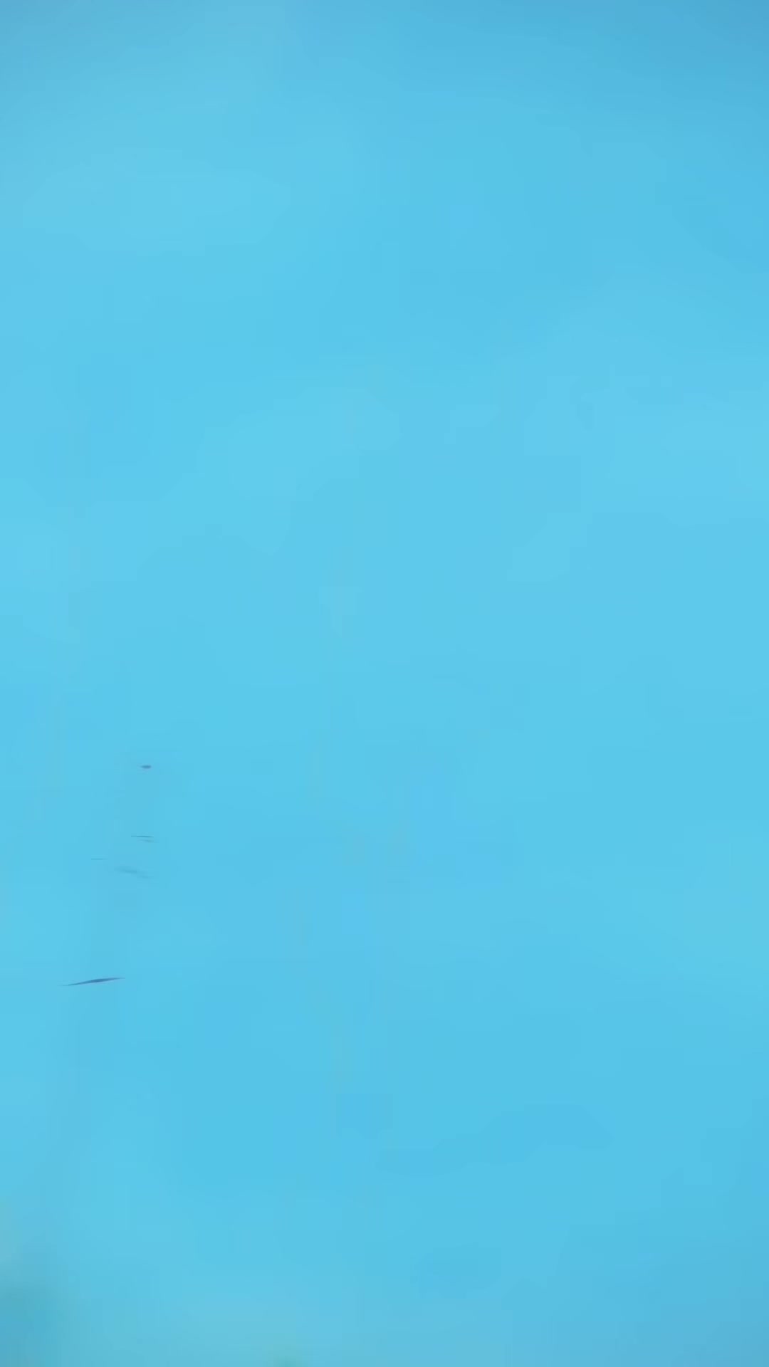 @★𝓩𝓲𝓭𝓭𝓲『𝓚𝓲𝓷𝓰☢』