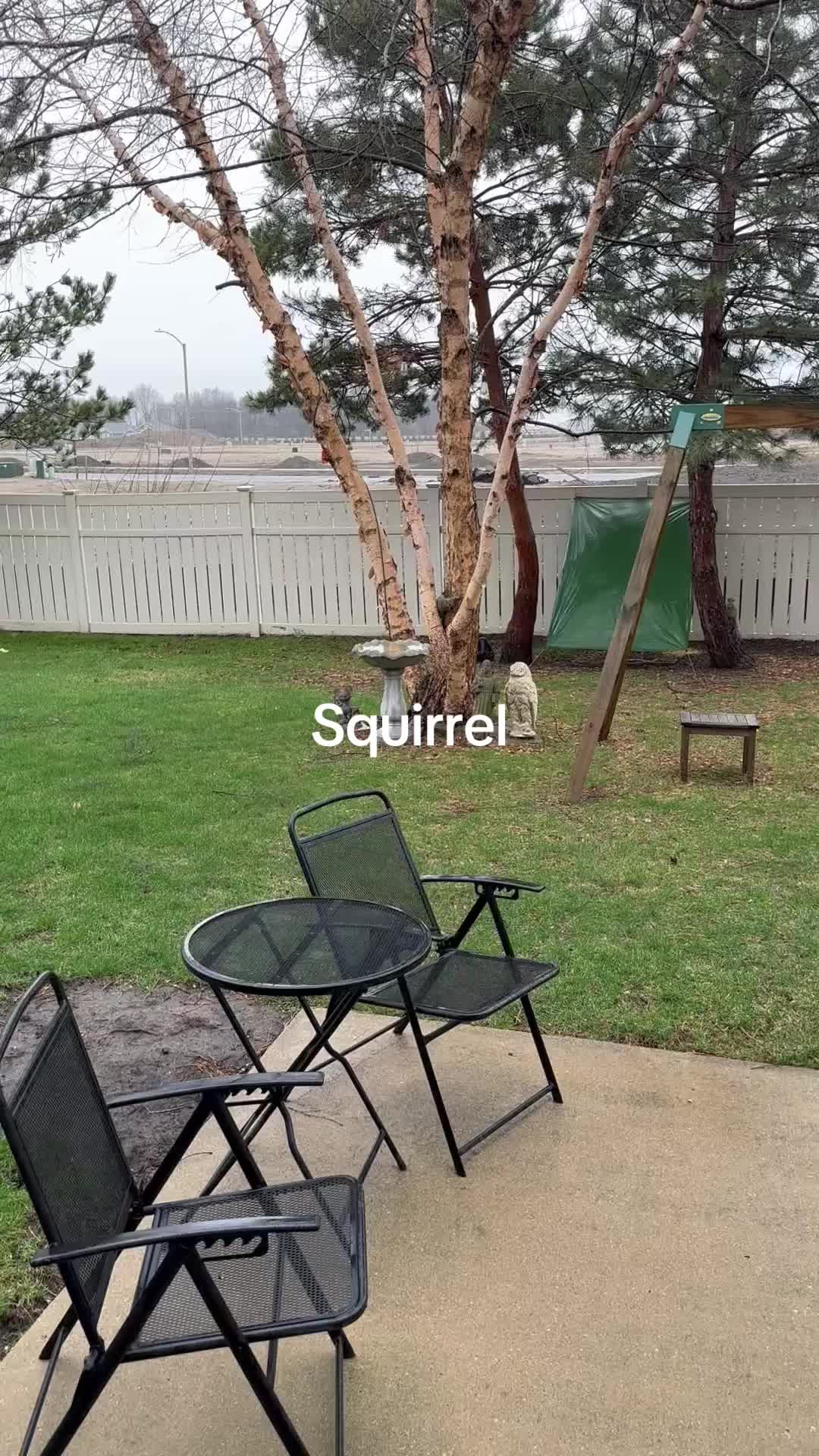 @disneyautismmom