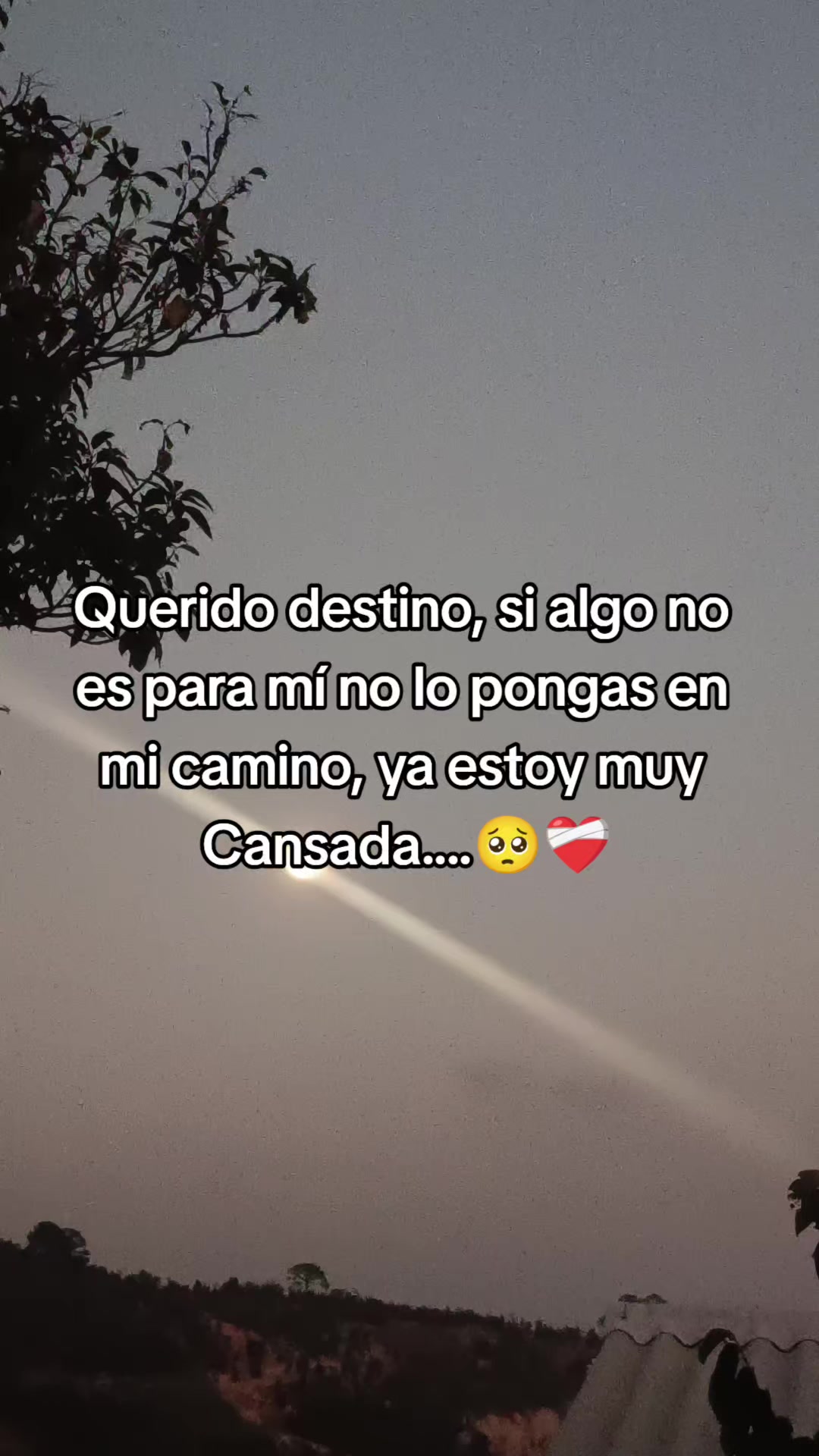 @✨🍁!§∆M∆R 🍁✨🏀💐