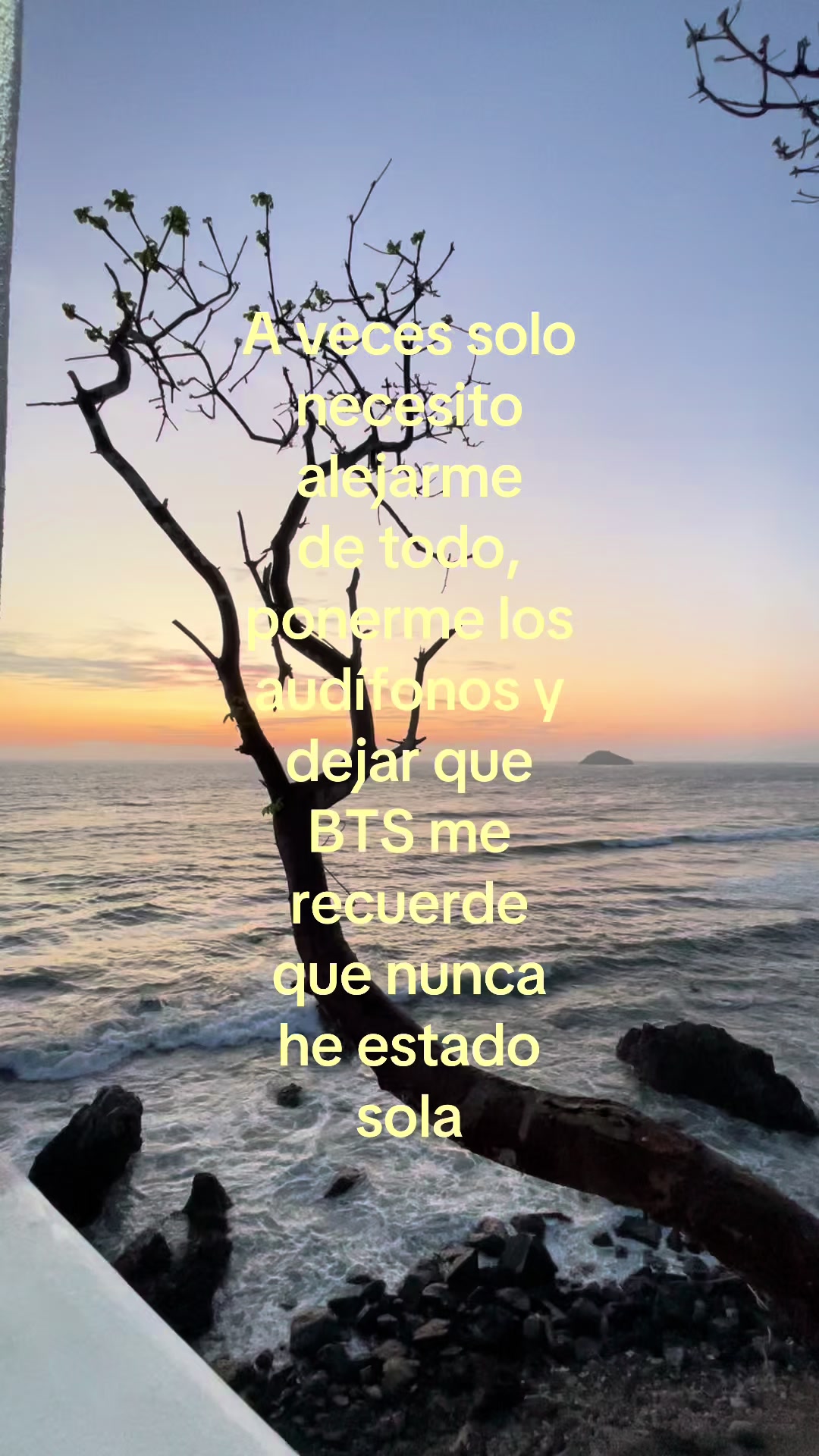 @thvholic13
