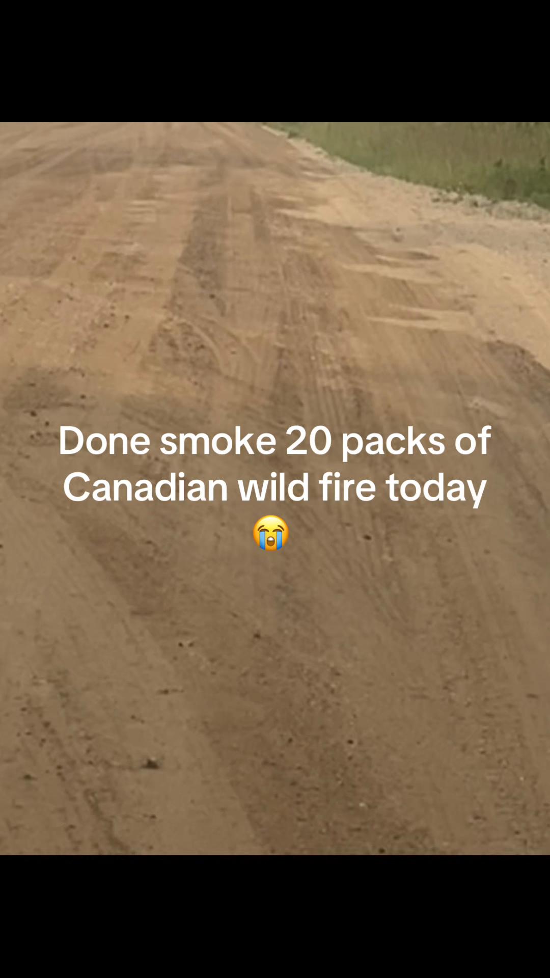@dirtbike 300