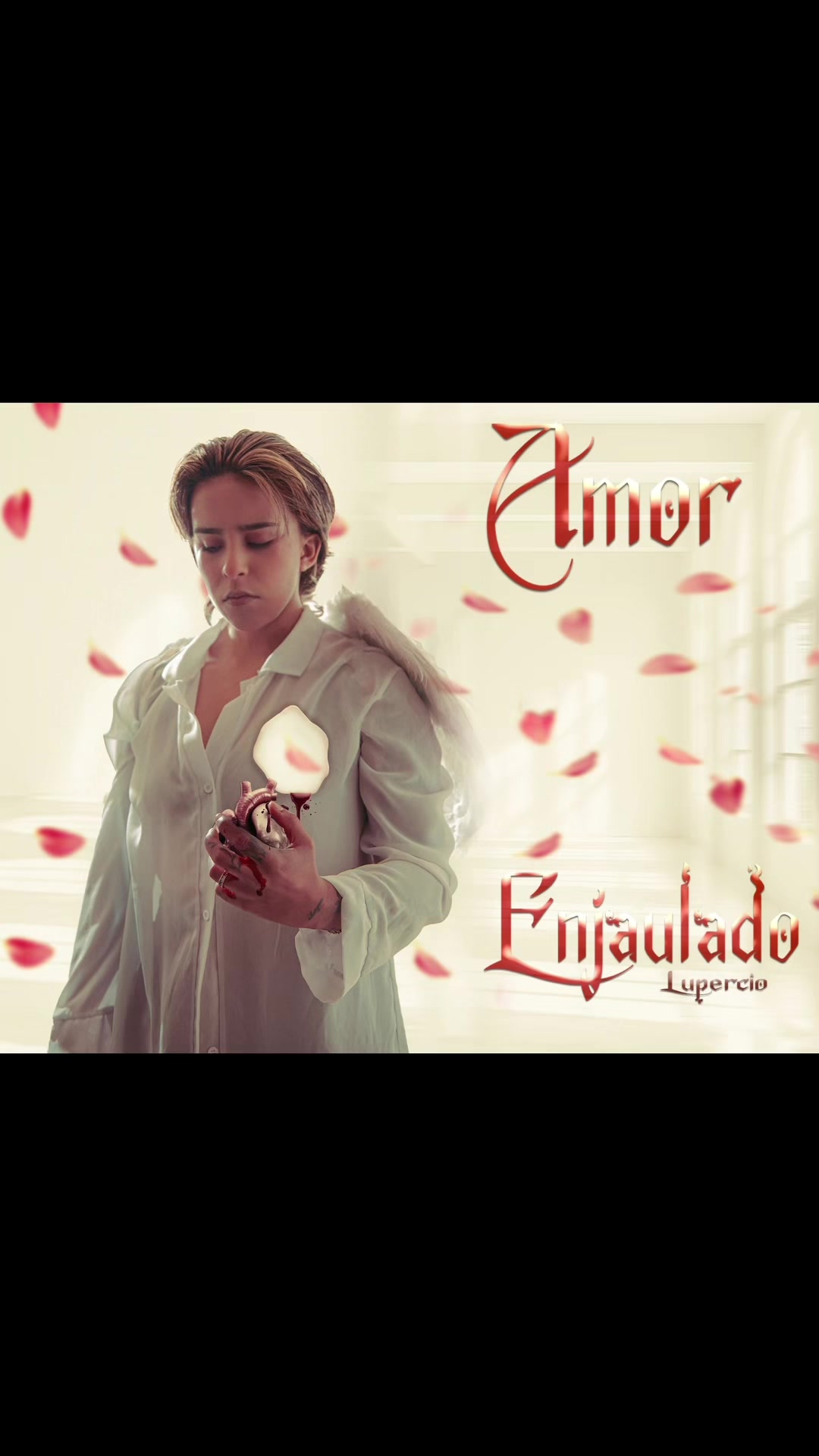 @๐ท๐๐๐๐๐ ๐ท๐๐๐๐๐๐๐