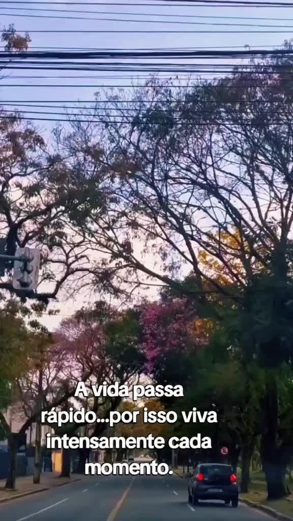 @Odete Araujo