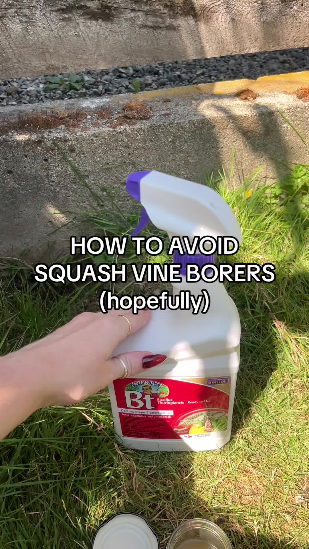 @DOM