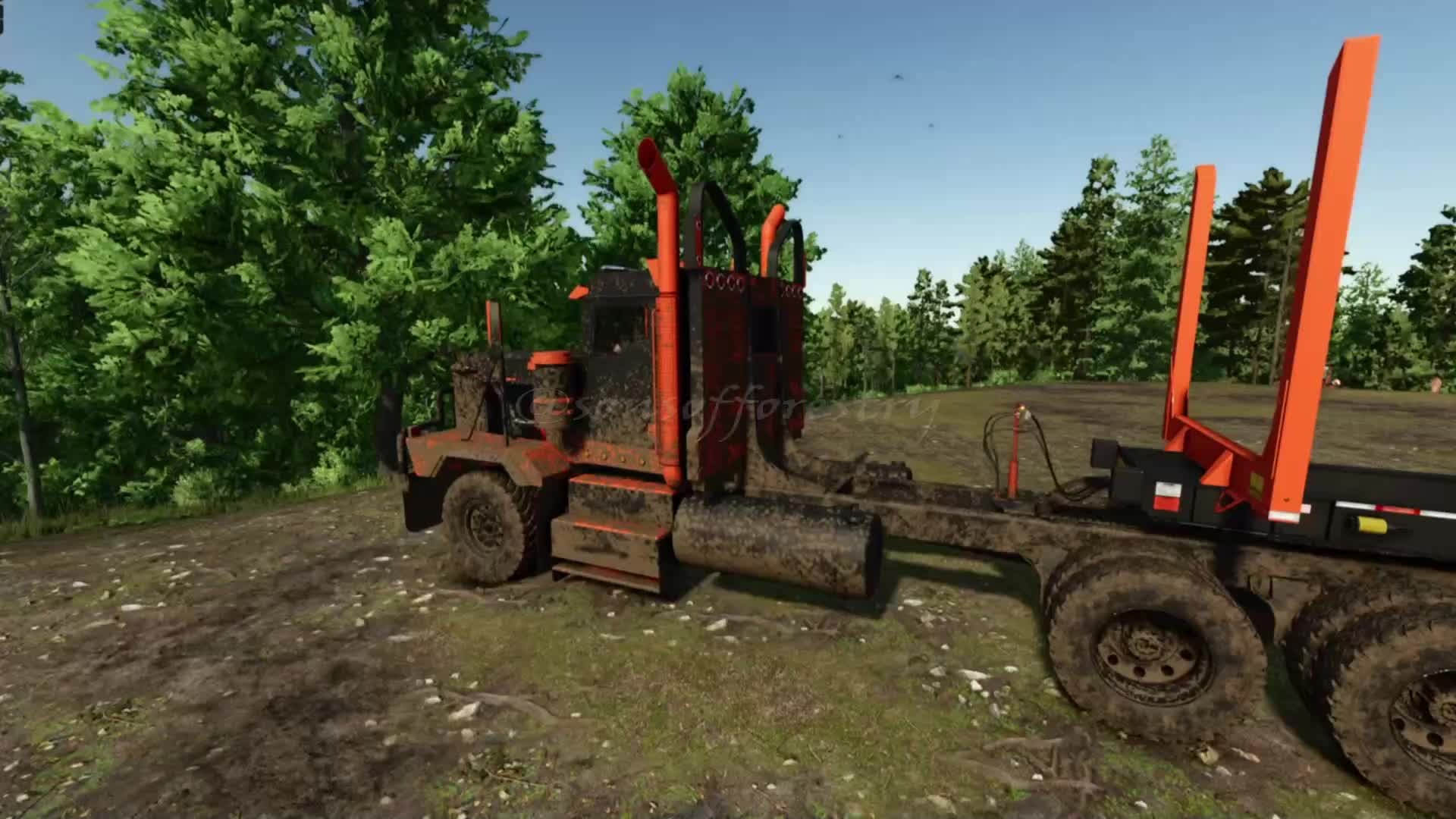 @SONS OF FORESTRY