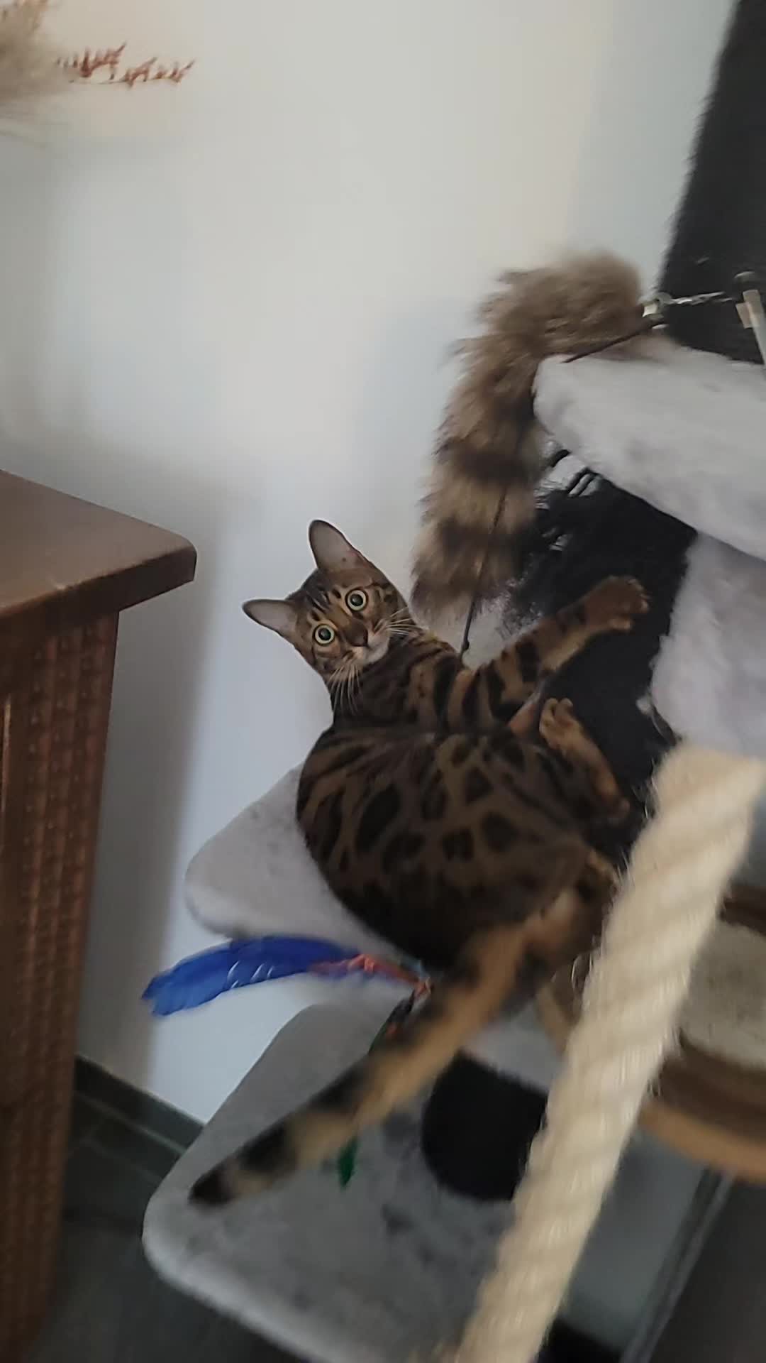 @Императрица