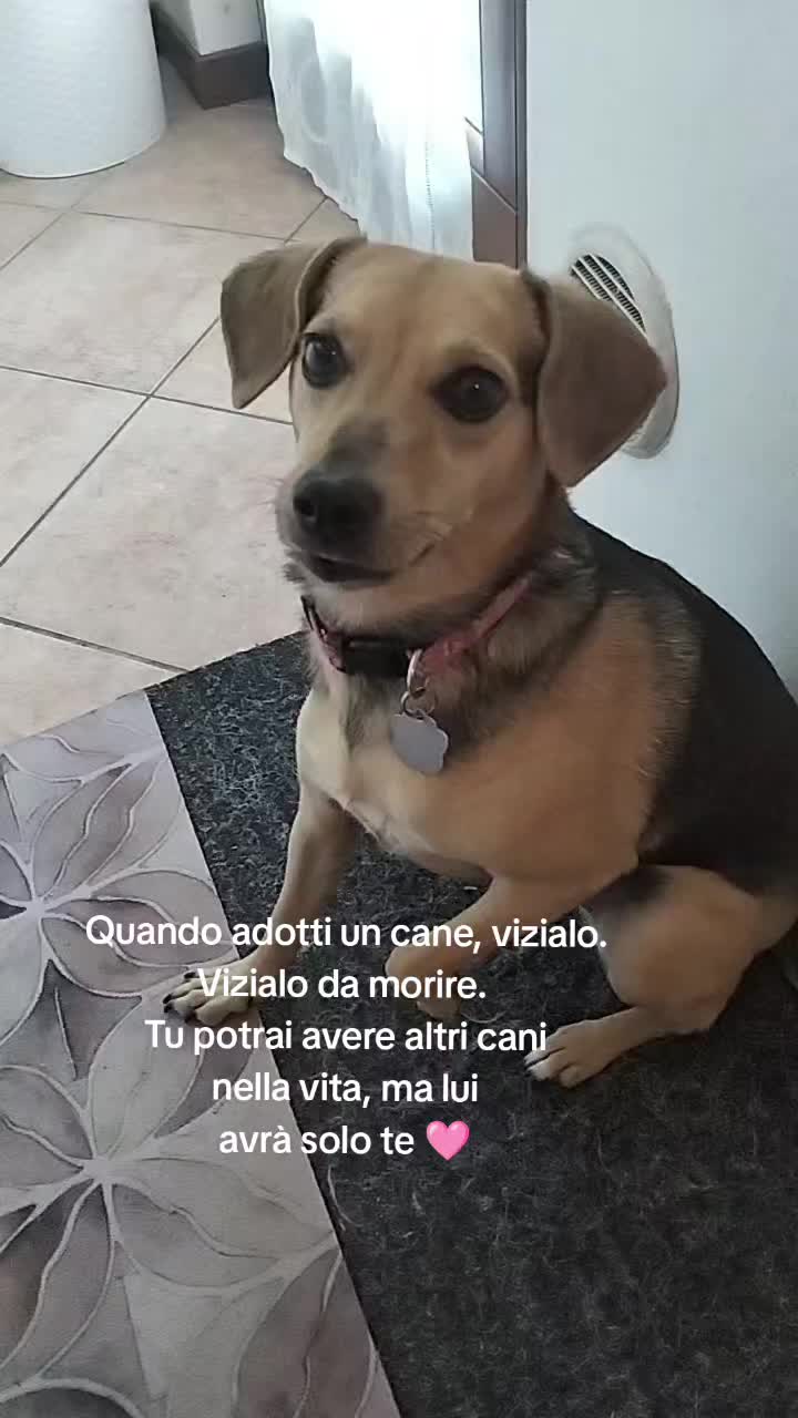 @PamDem