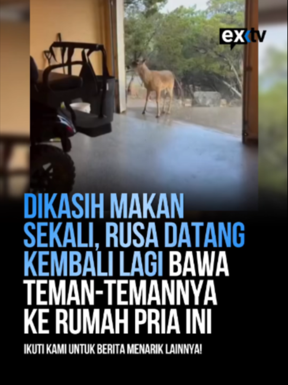 @Expressi Media