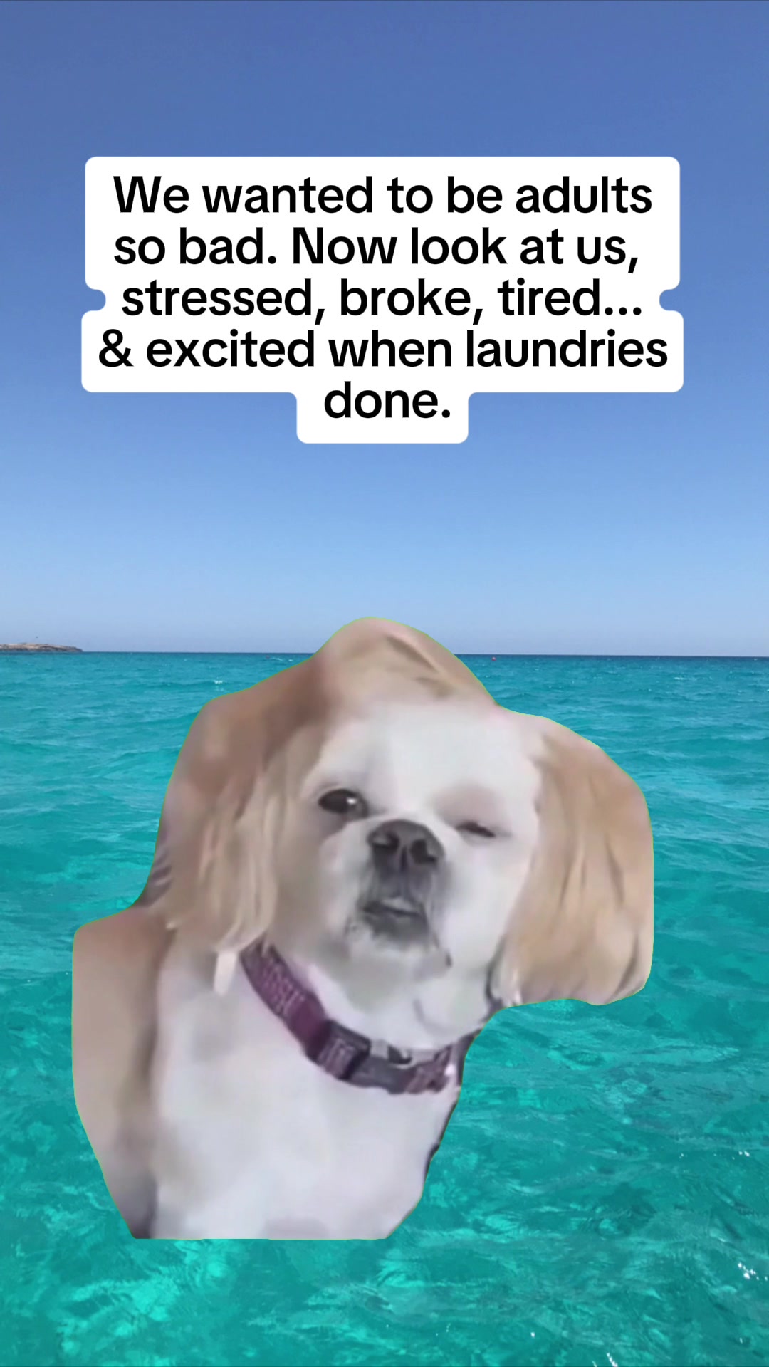 @jodiel2091