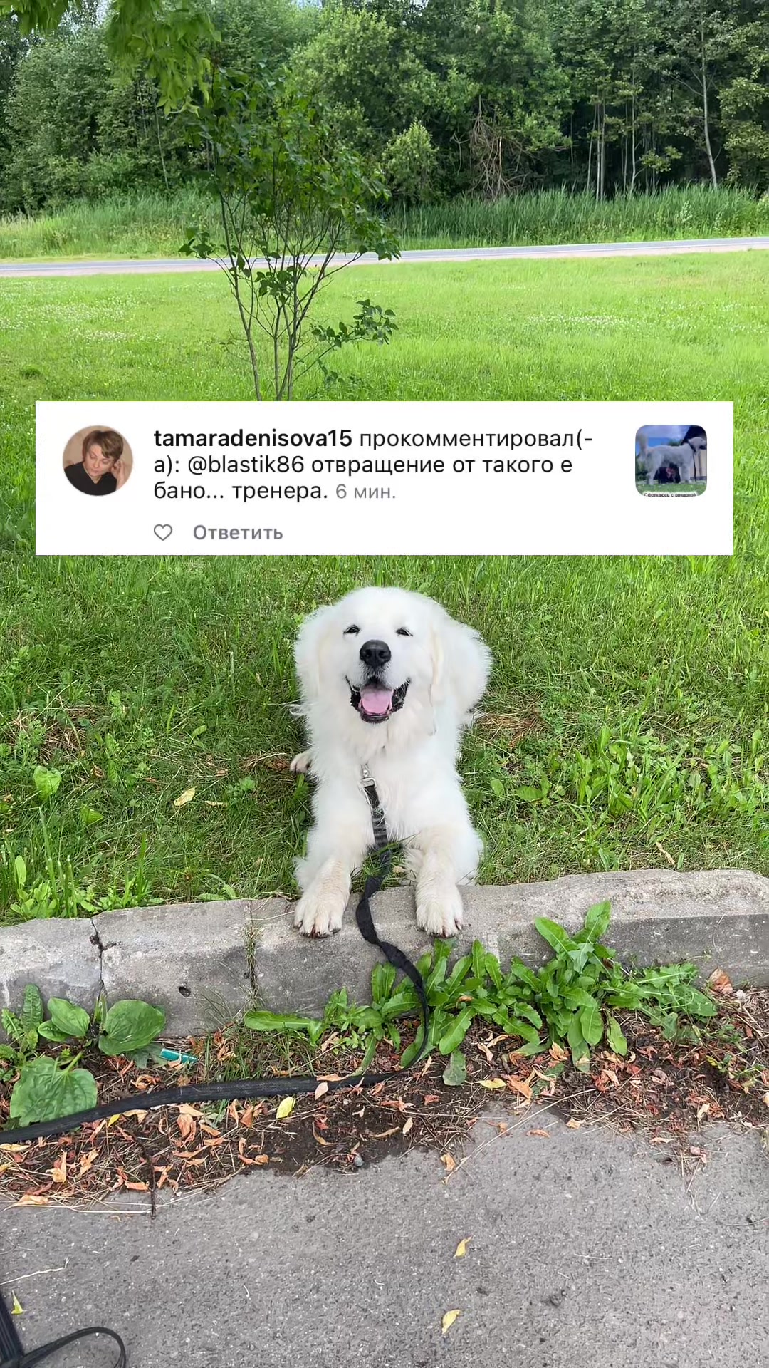 @Зооняня👉Алёна Ващенко