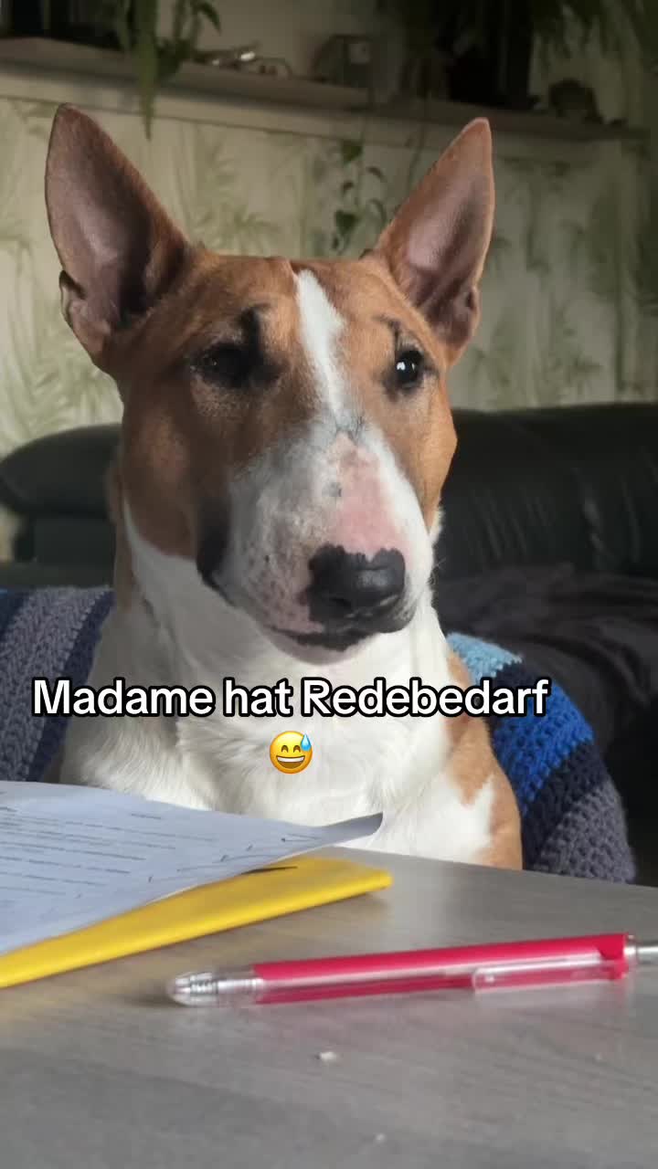 @🐕TiZi❤️🔥