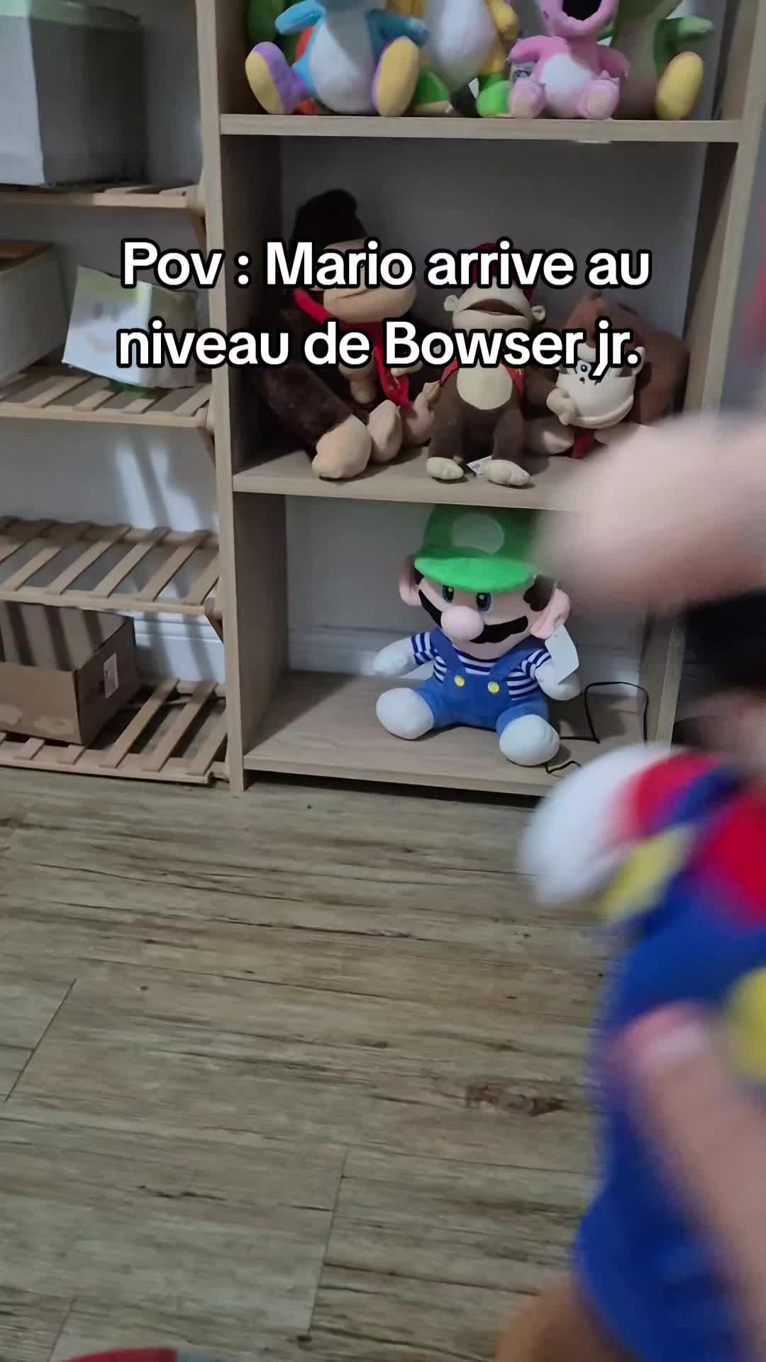 @peluchemario64