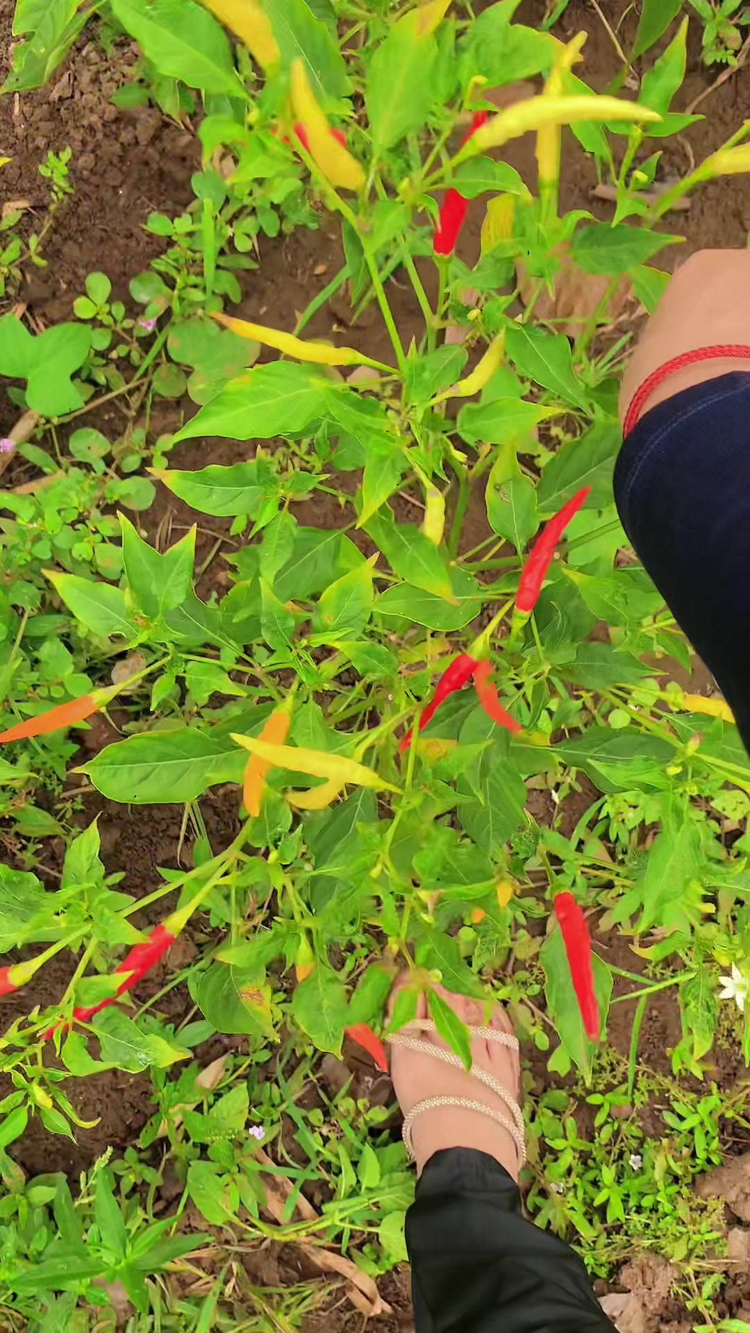 @Unixx