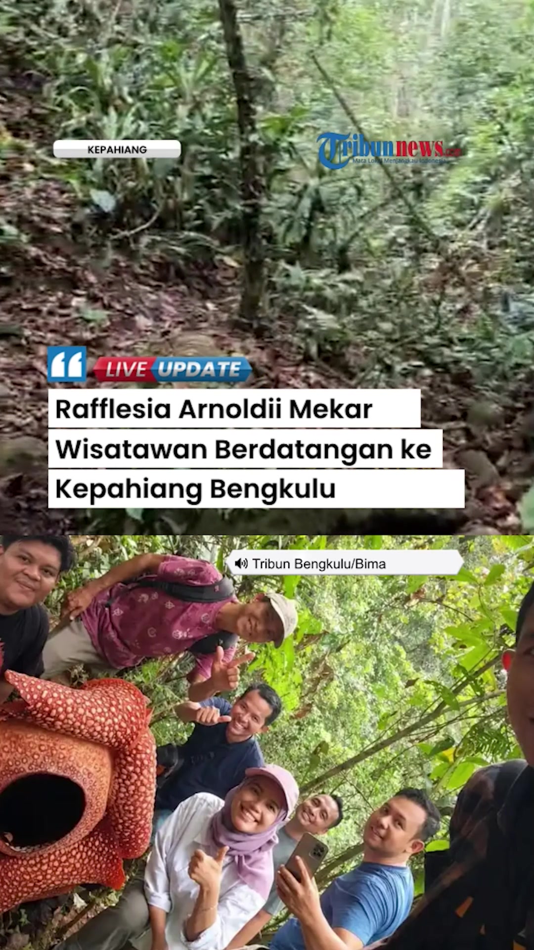 @Tribunnews