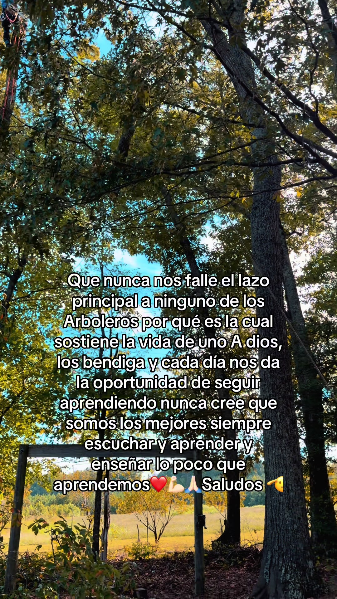 @joelmartinez3839
