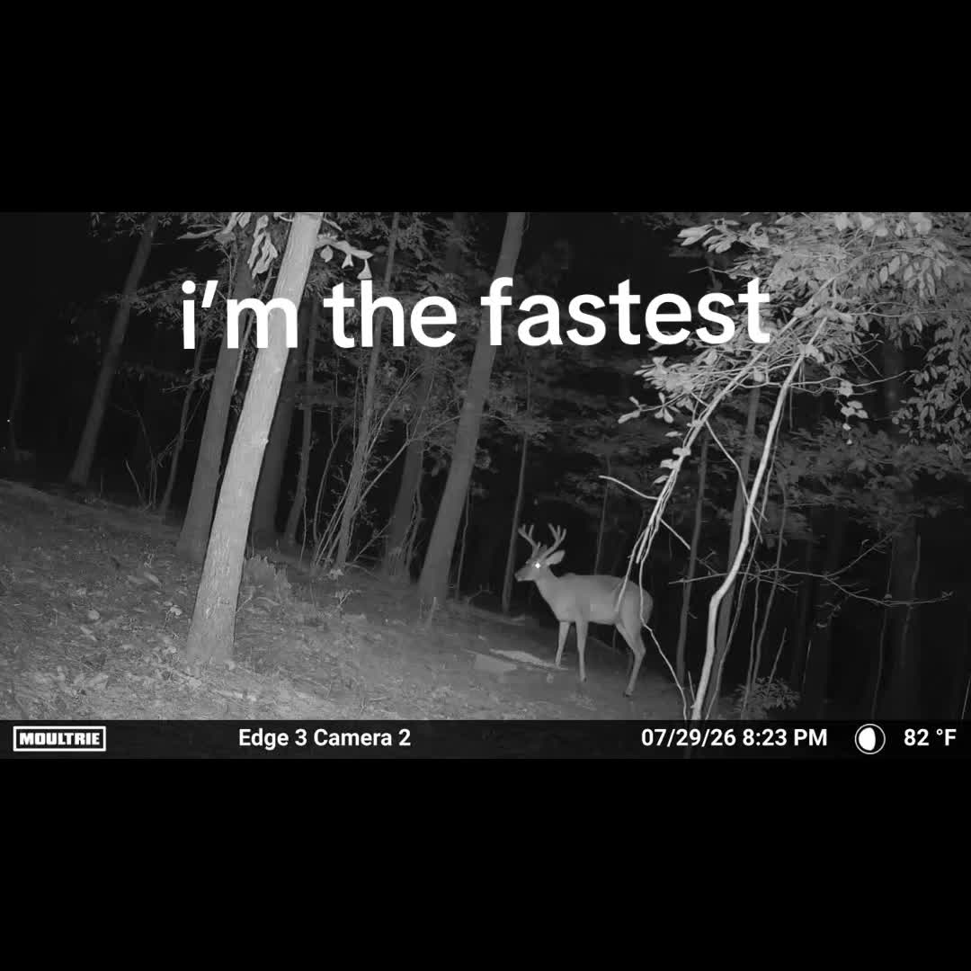 @Maverick🦅🦌🇺🇸