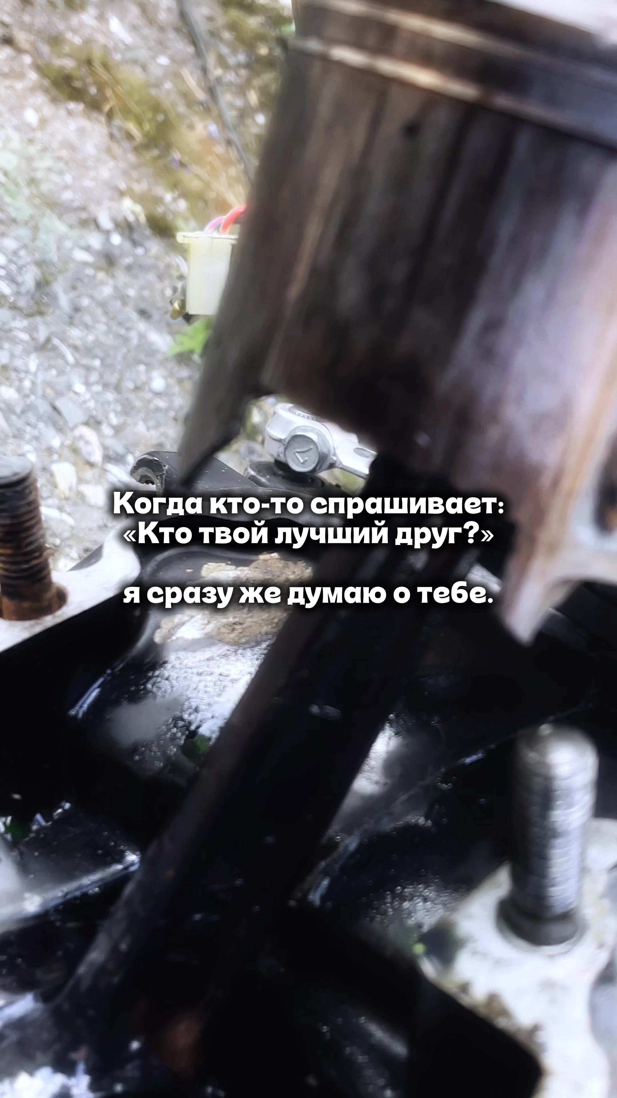@тгк: FomaZMT