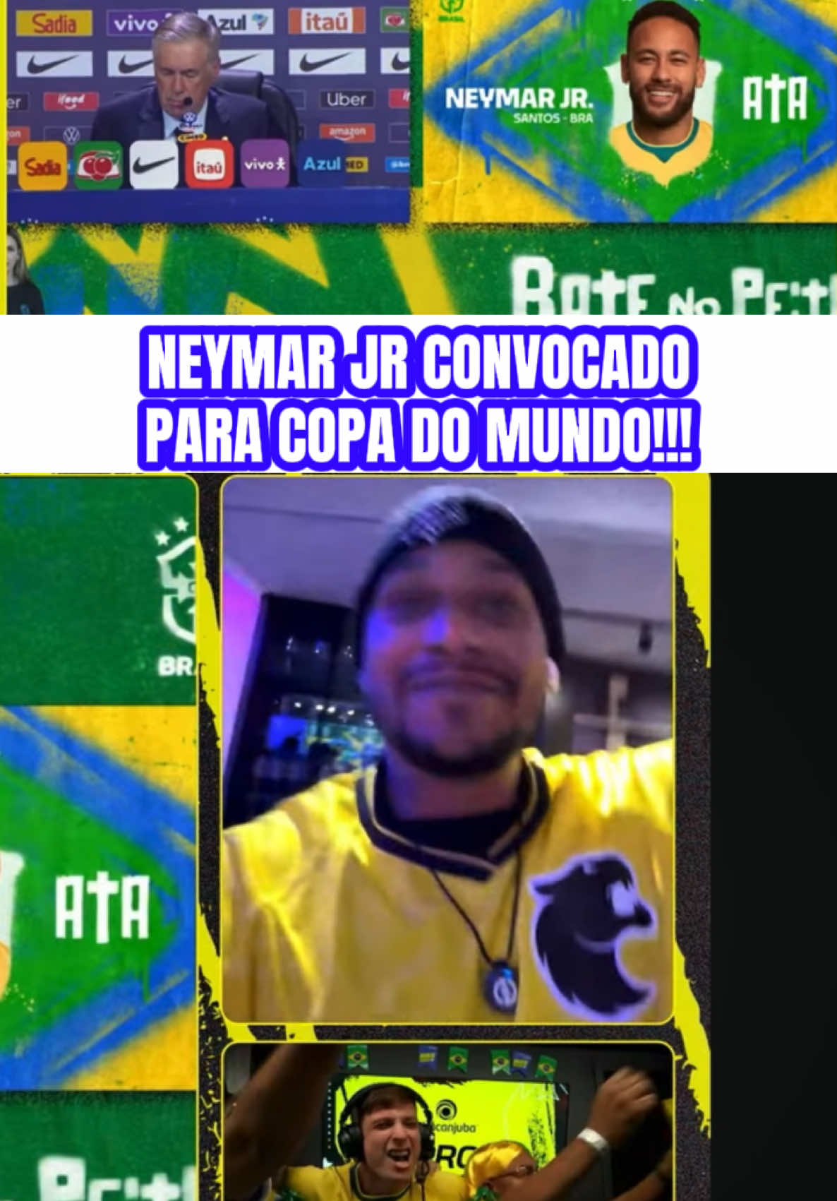 @Junirox Brasil 🐢💚🐯🇧🇷