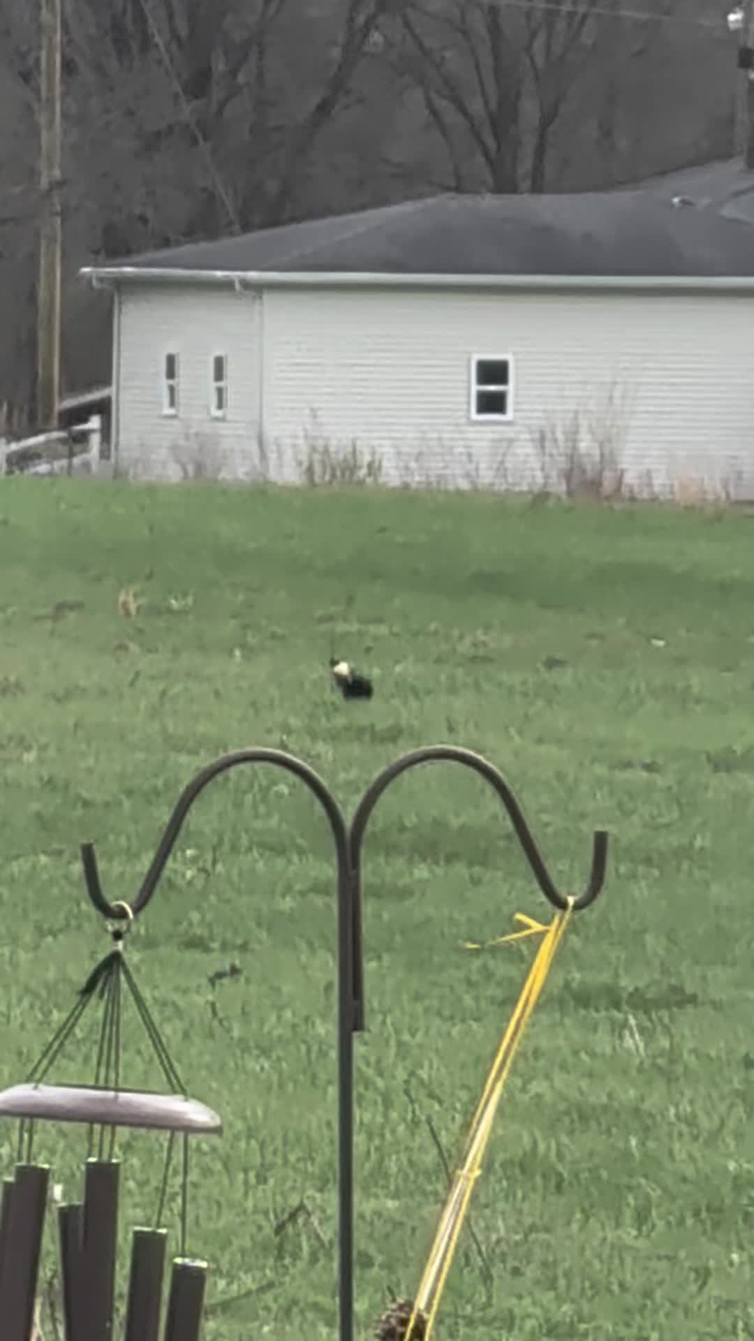 @FarmHandMark