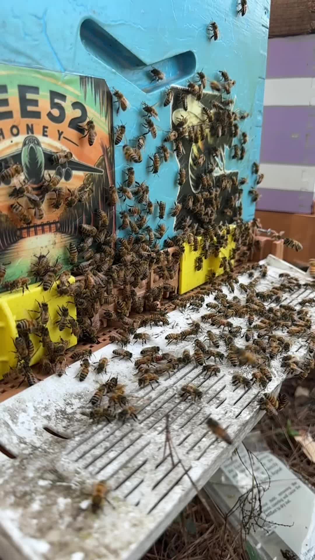 @Bee52Honey