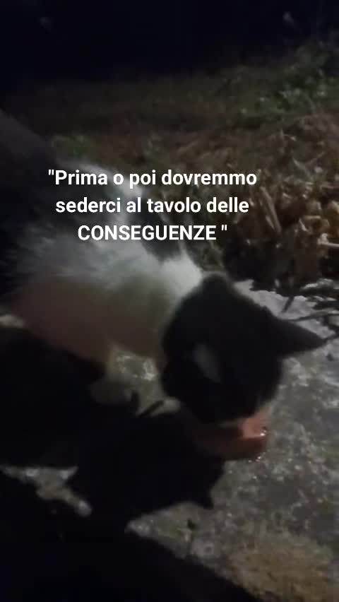 @ELETTRA L'ANIMALISTA