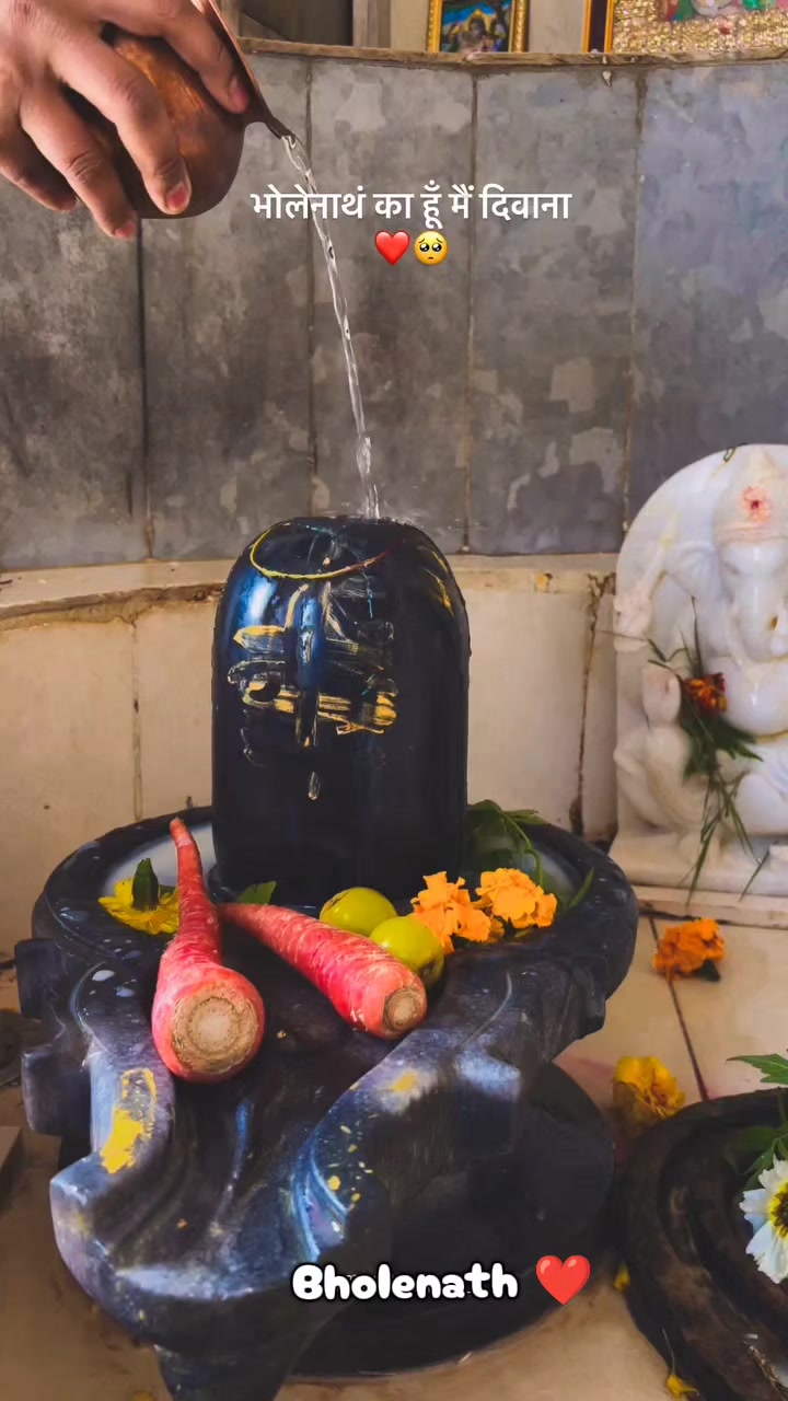 @🕉☘️Sujata❤🌻🦚