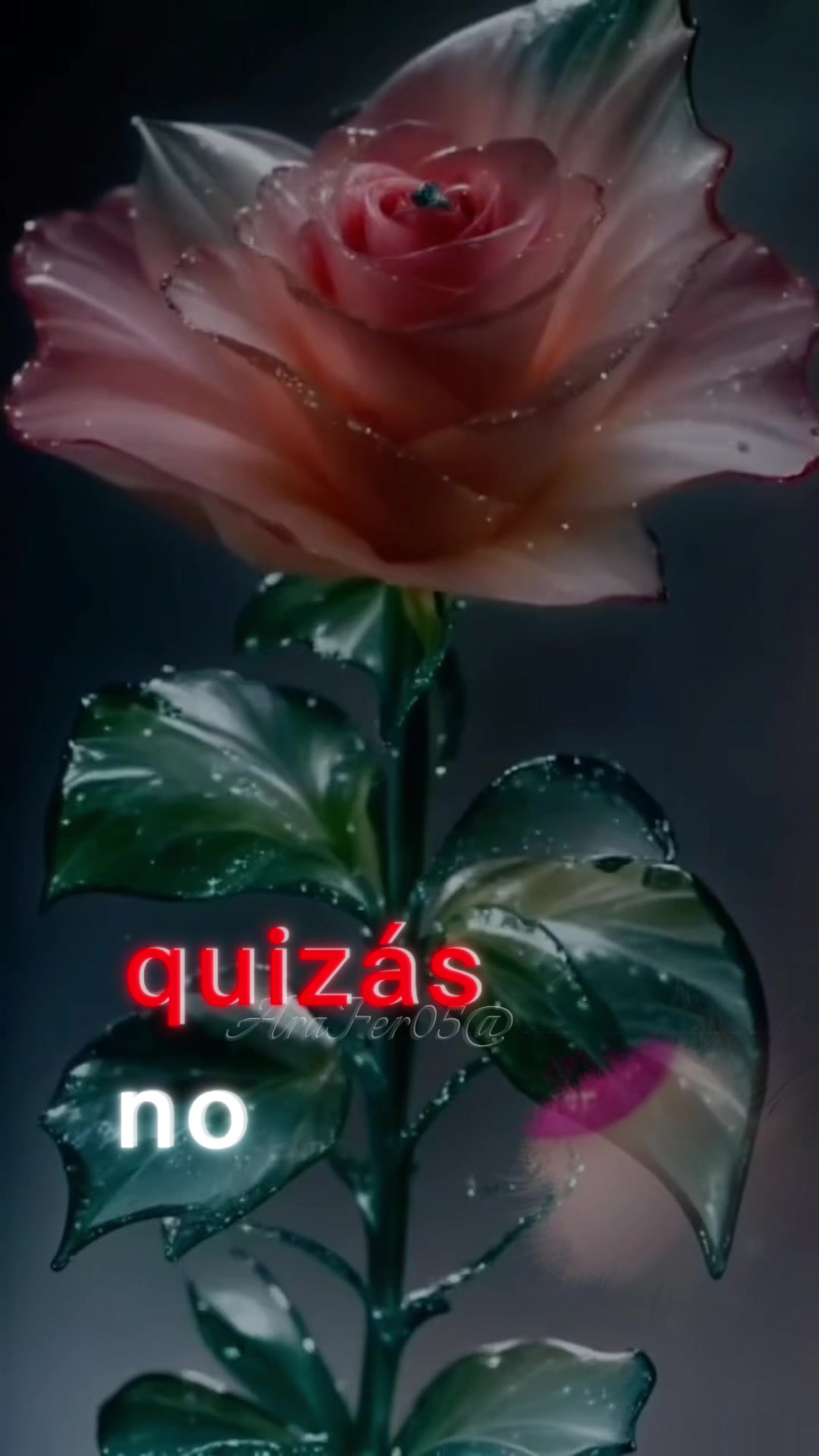 @guadalupearaiza335