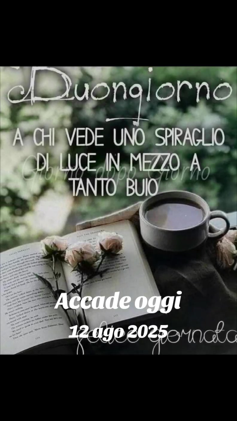@alessandramarchi726