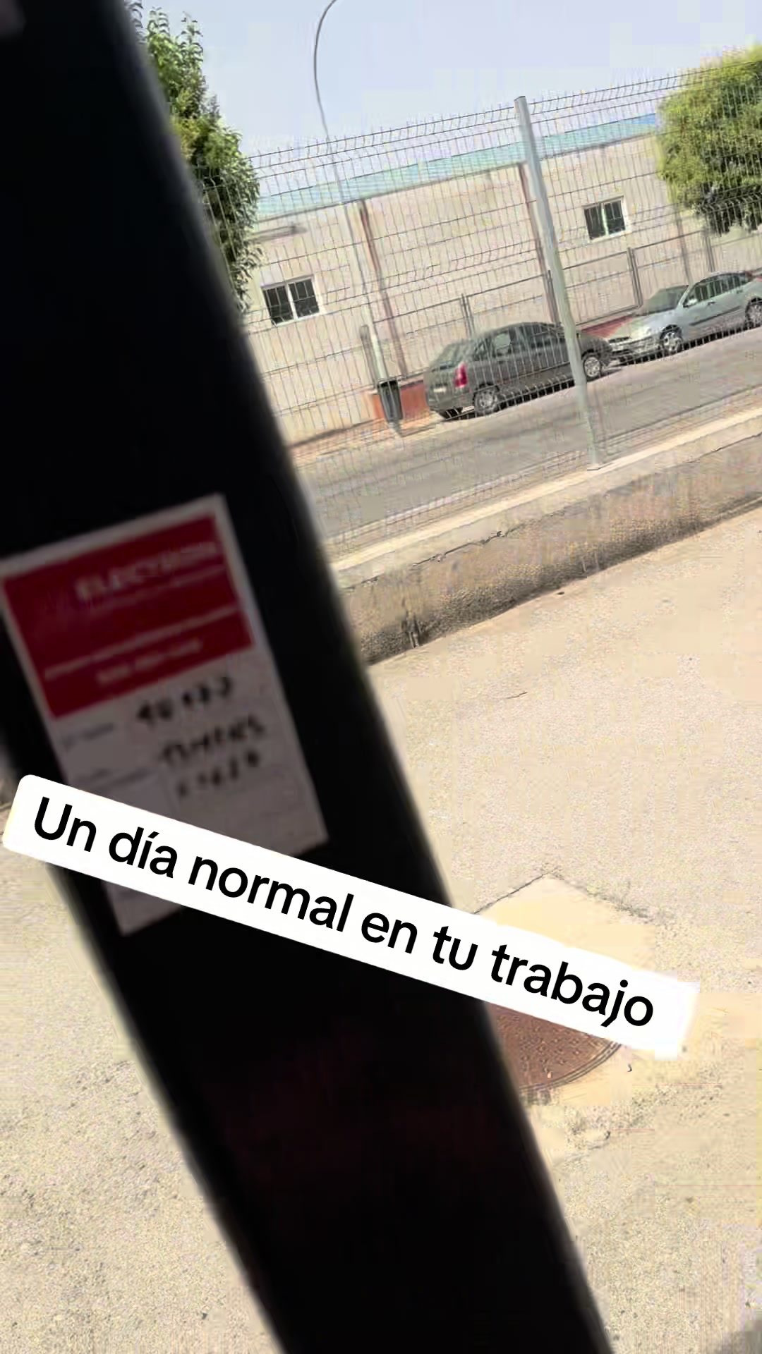 @_yunior_09