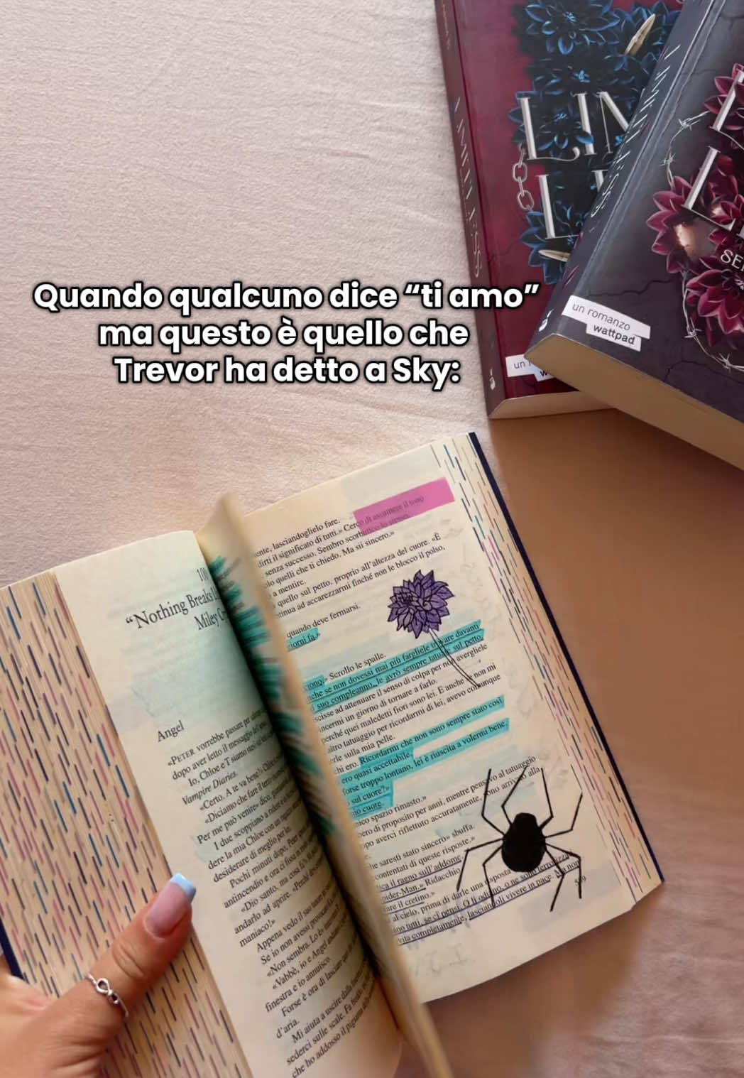 @đşđđđđ’đ đđđđđđˇ