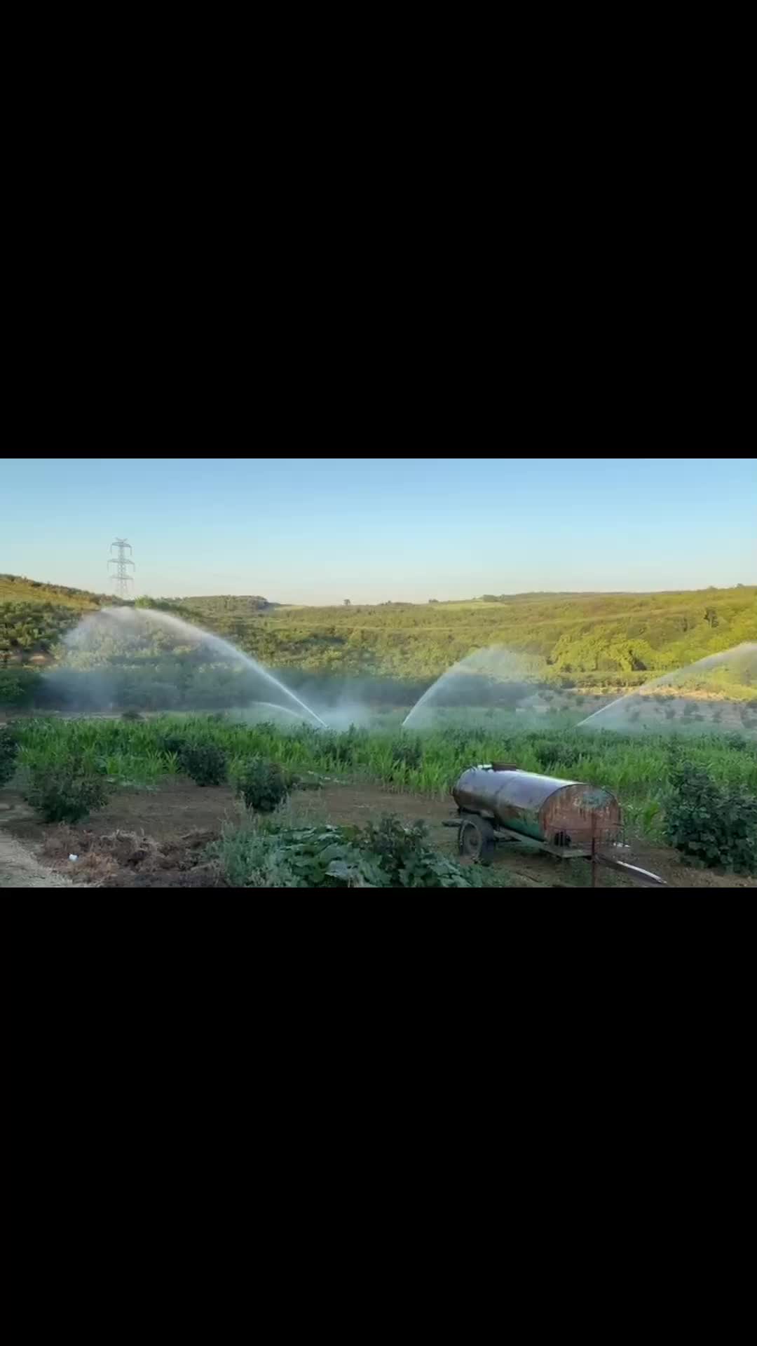 @ömer Faruk Dişci 54